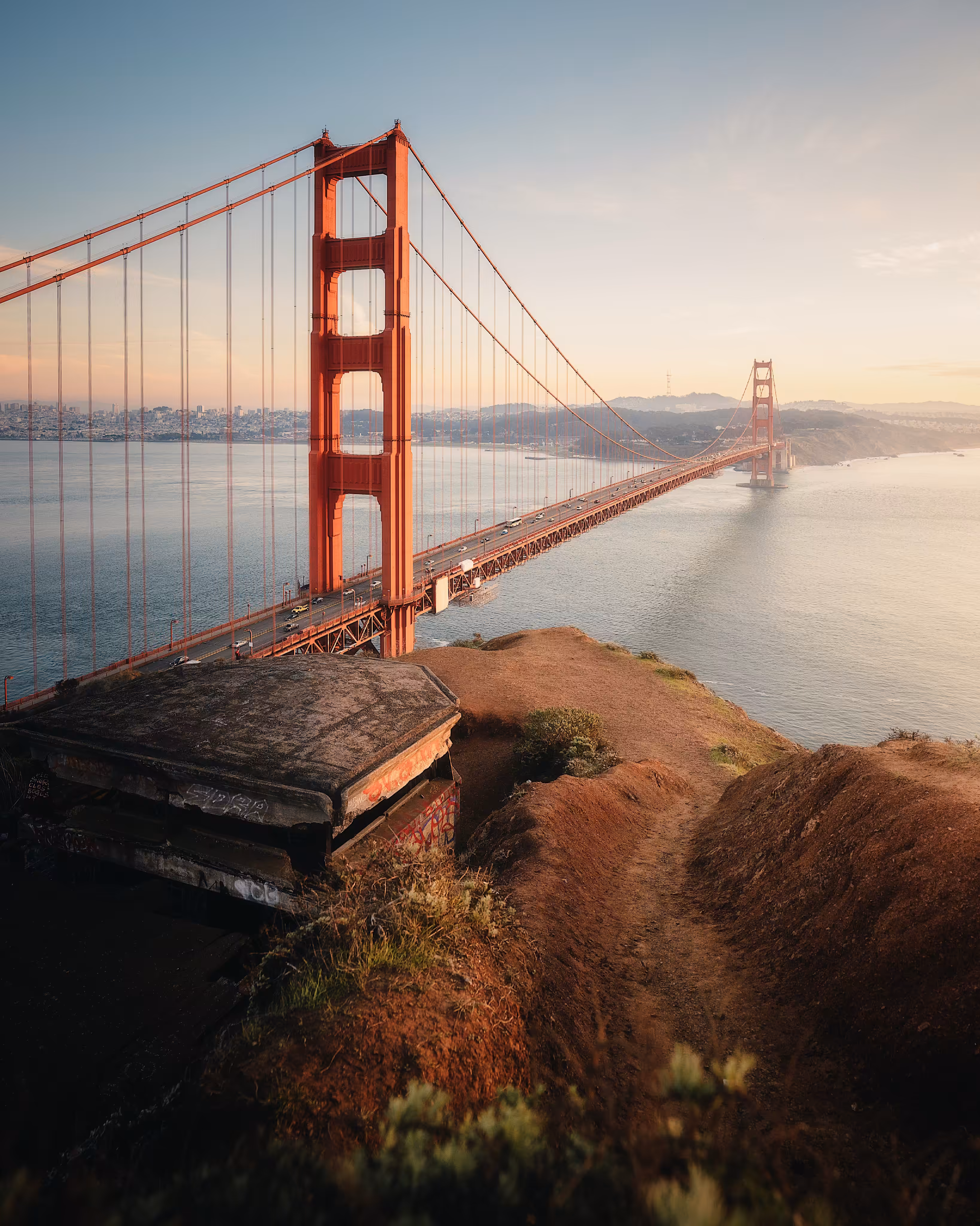 Bay Beginnings #39 // The Path