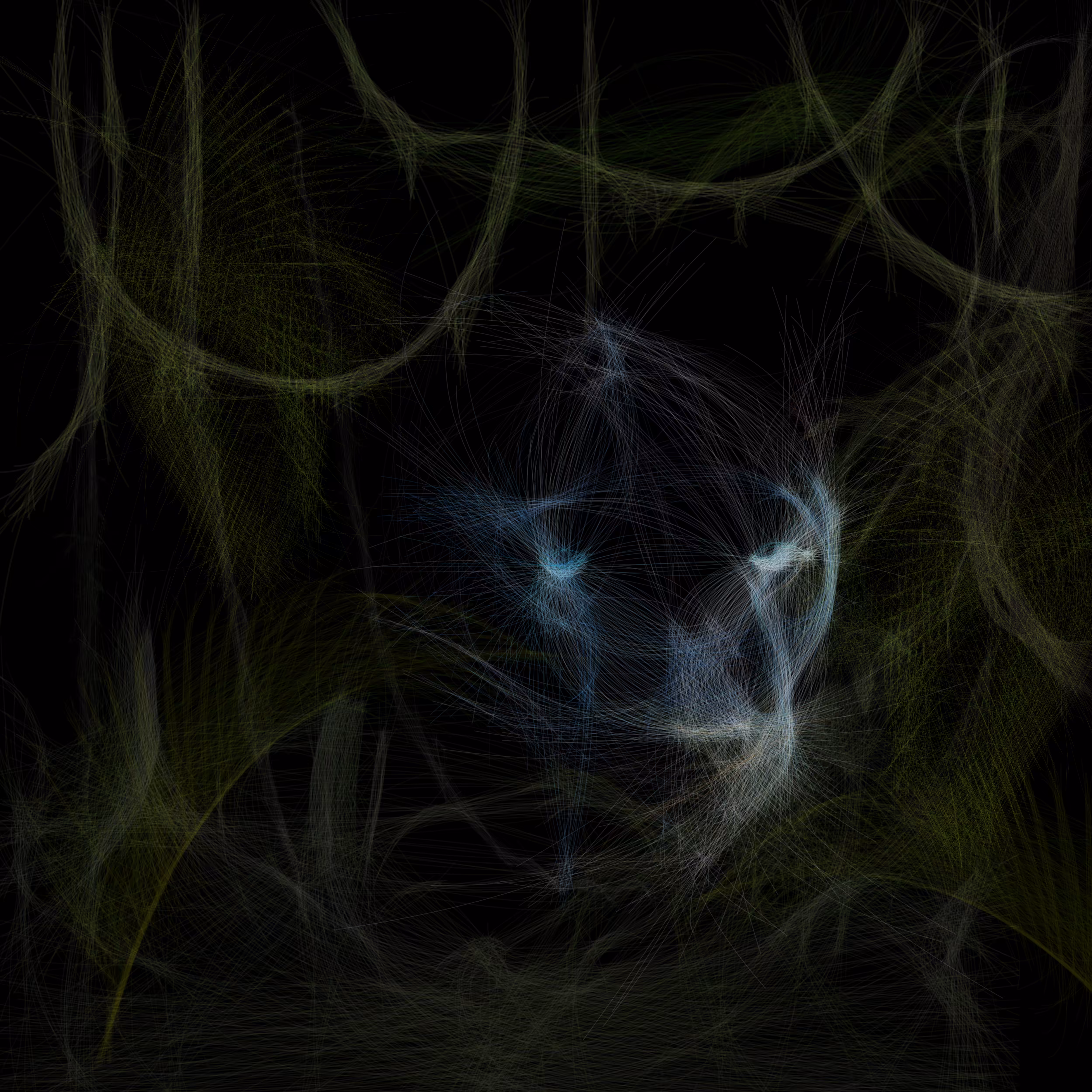 Prowl