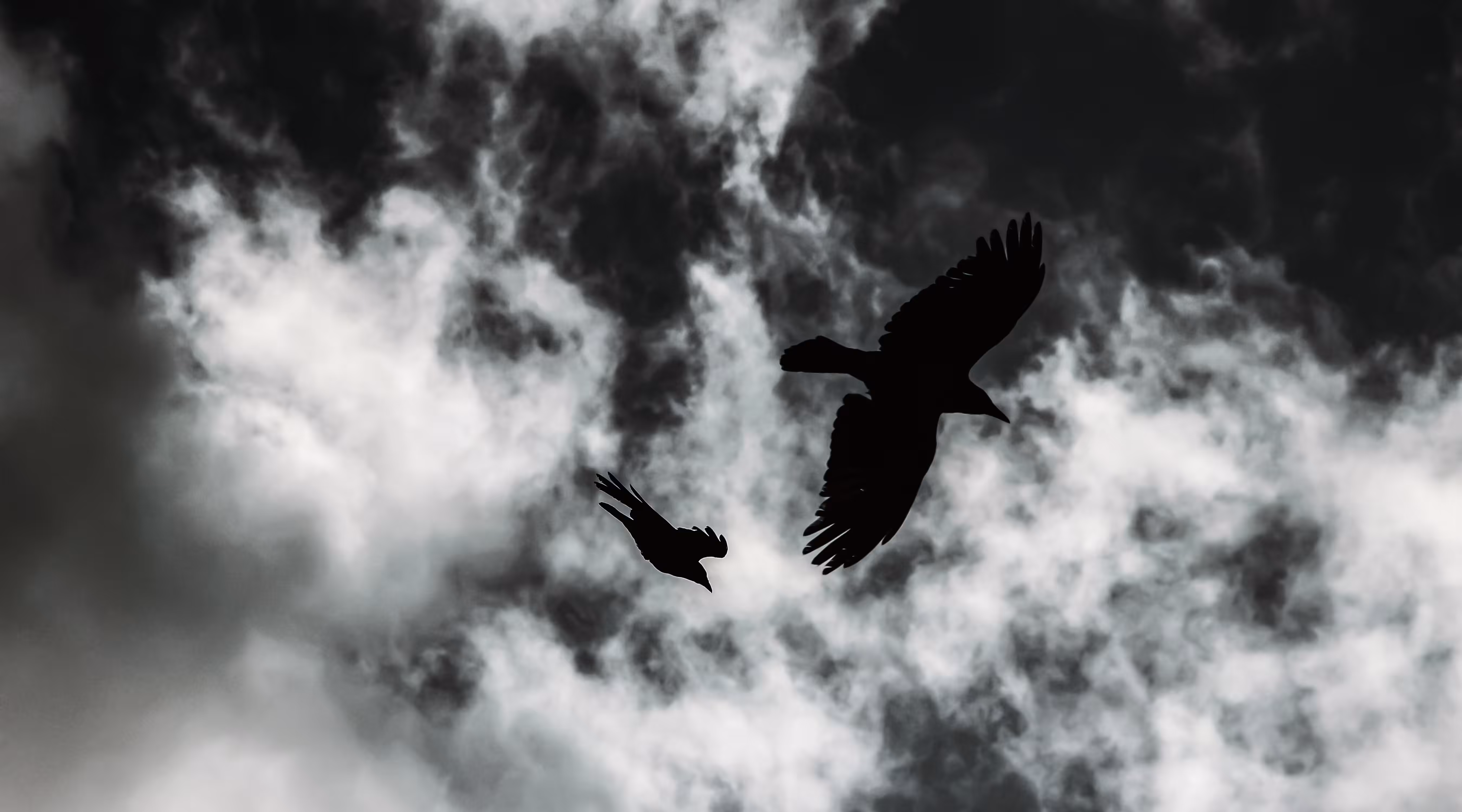 Above The Sky