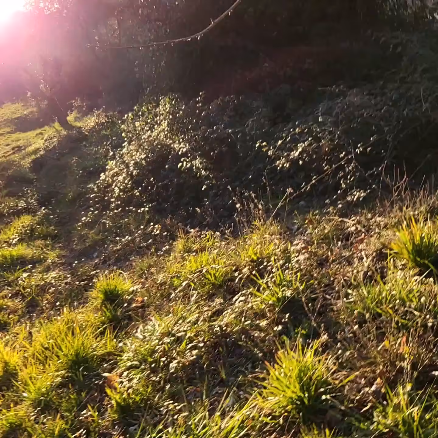 Miltos Manetas, 35 sec in Sabina (Jan 2022)