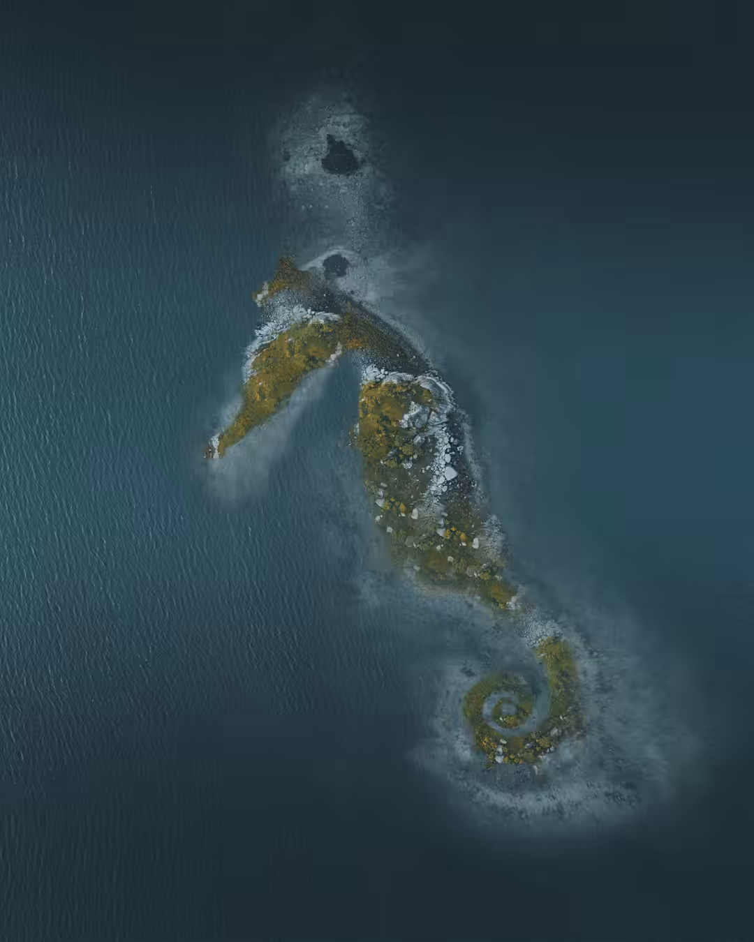 Seahourse Island