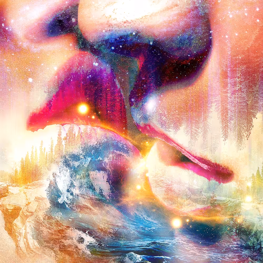 Dreamy Passion