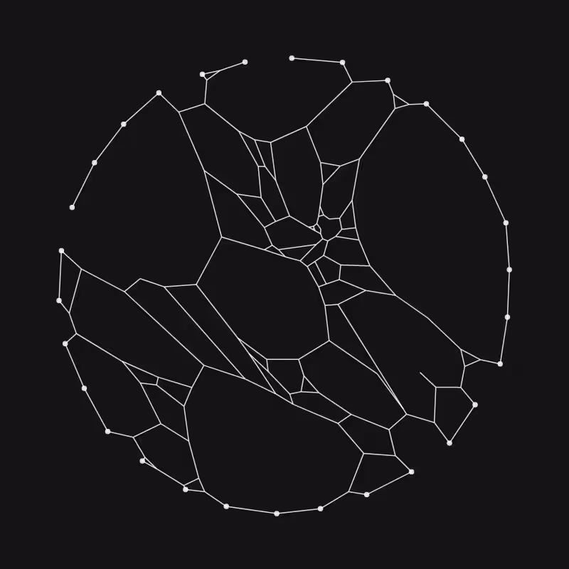 Elastic Web #107