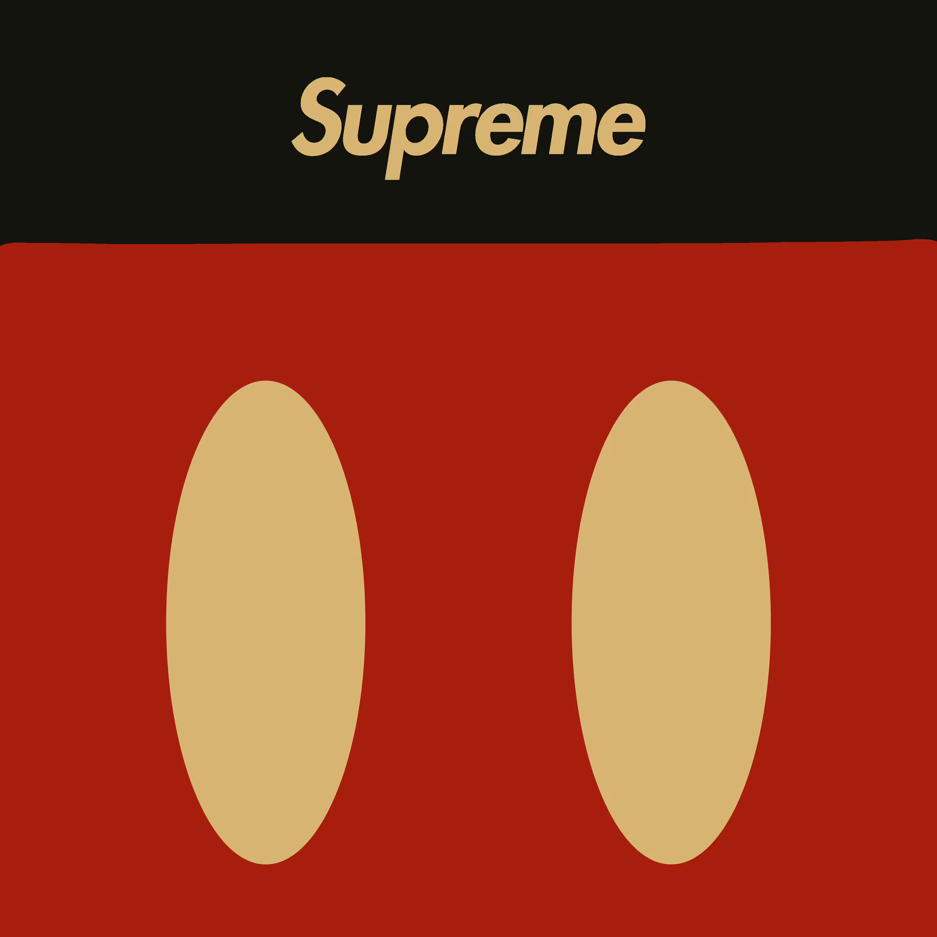 MICKEY MOUSE X SUPREME | AMBASSADOR OF OBJECTS