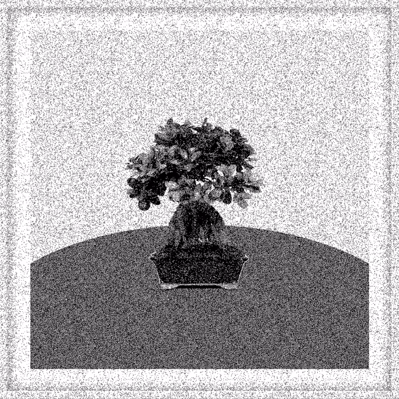 Bonsai Bonanza #801