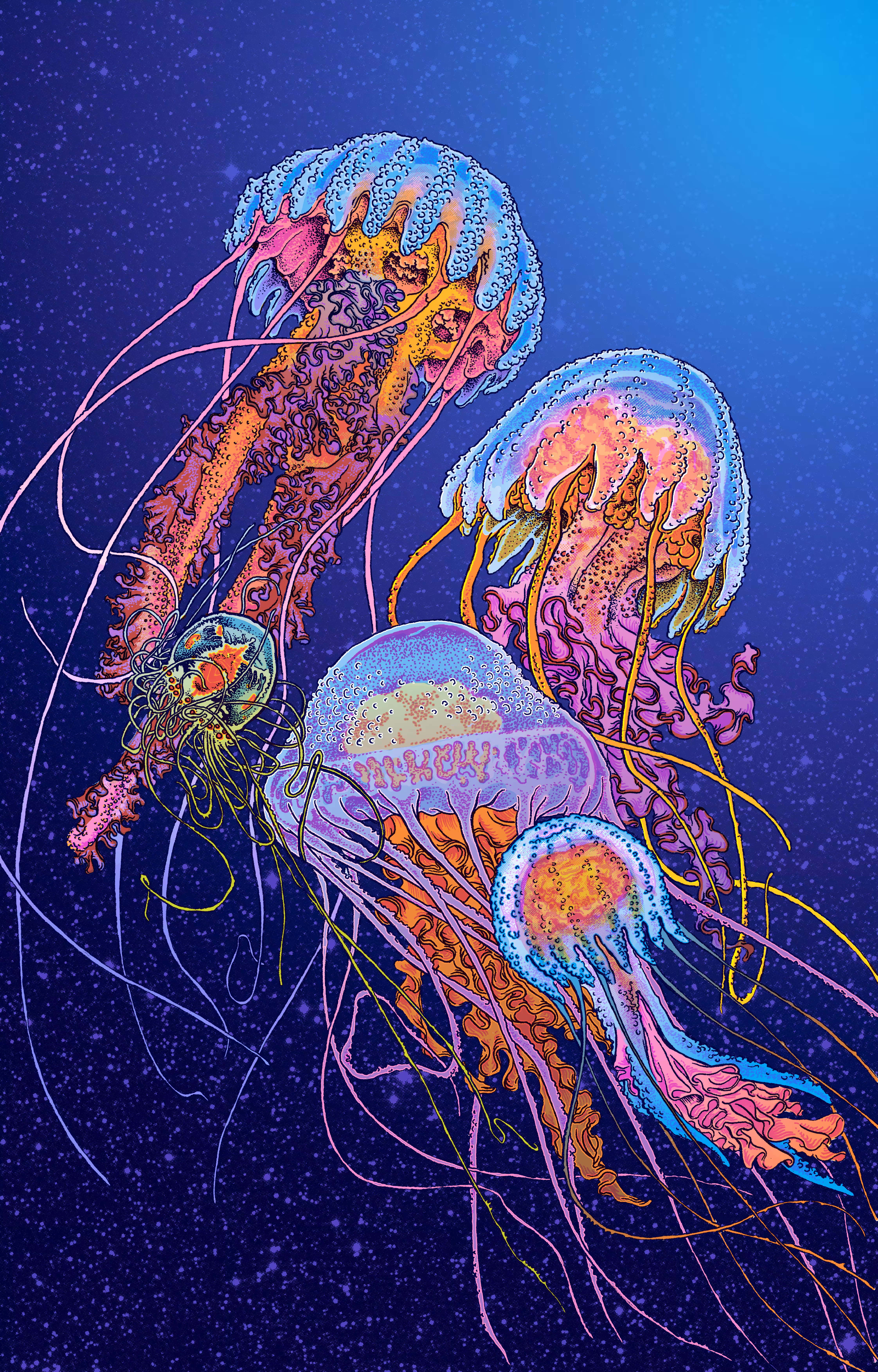 Medusozoa