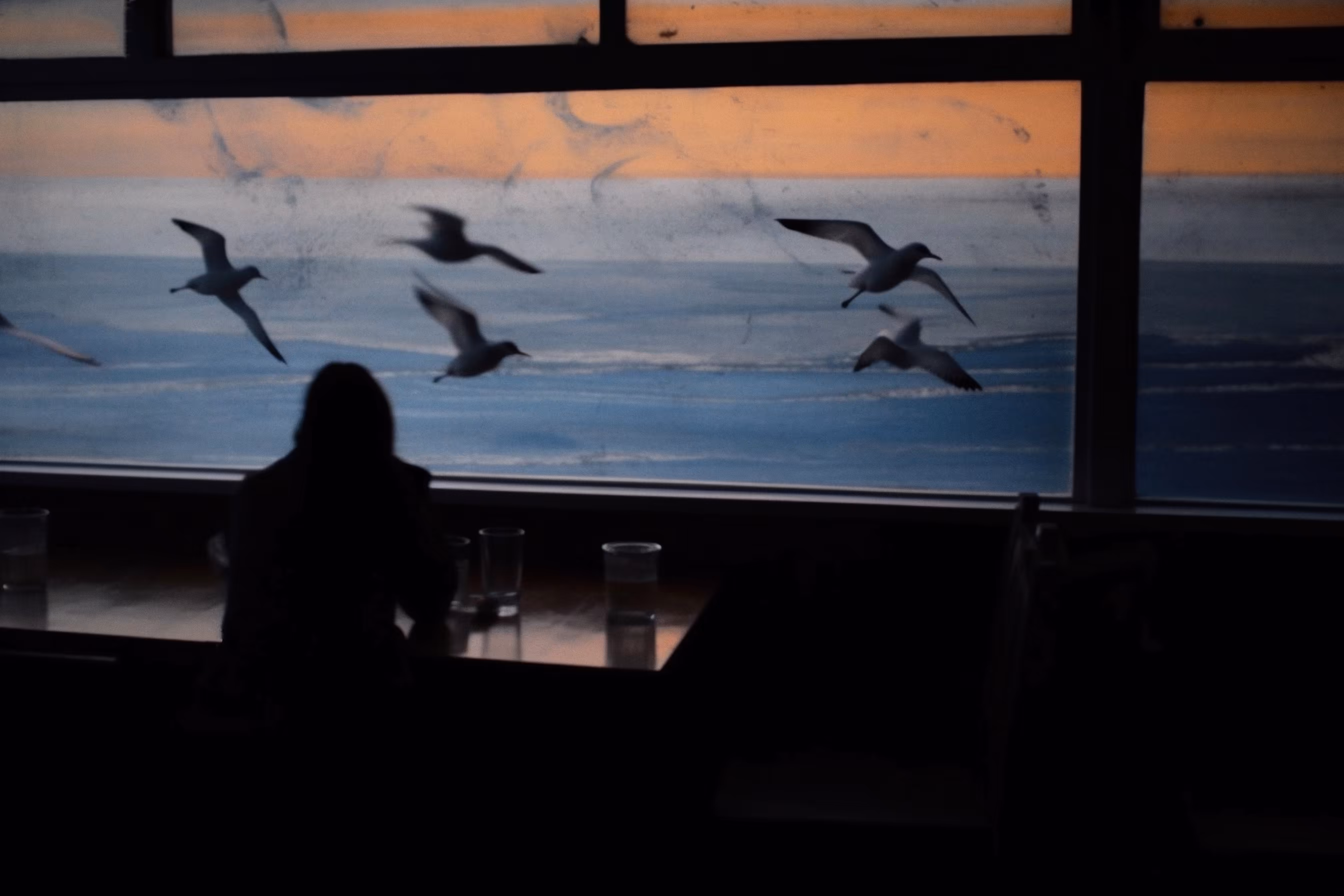 Before Sunset