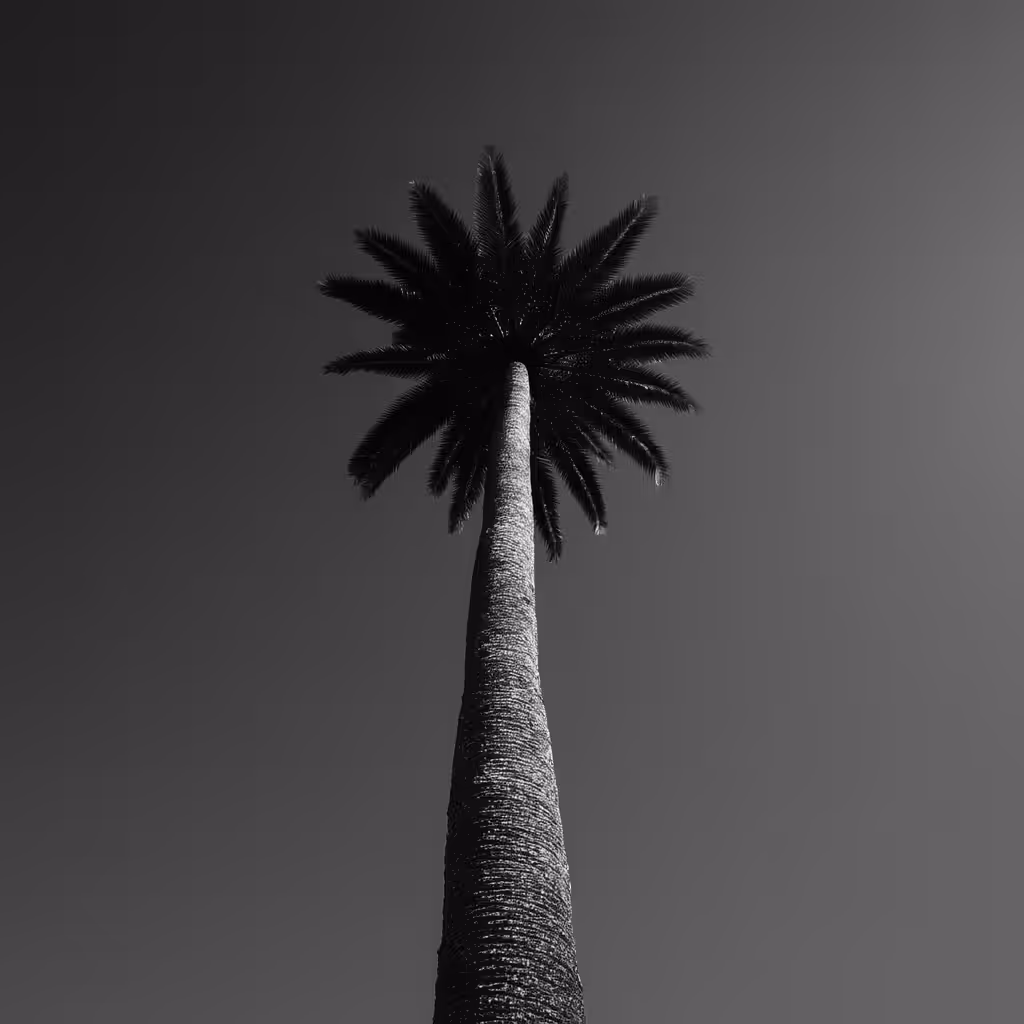 🌴