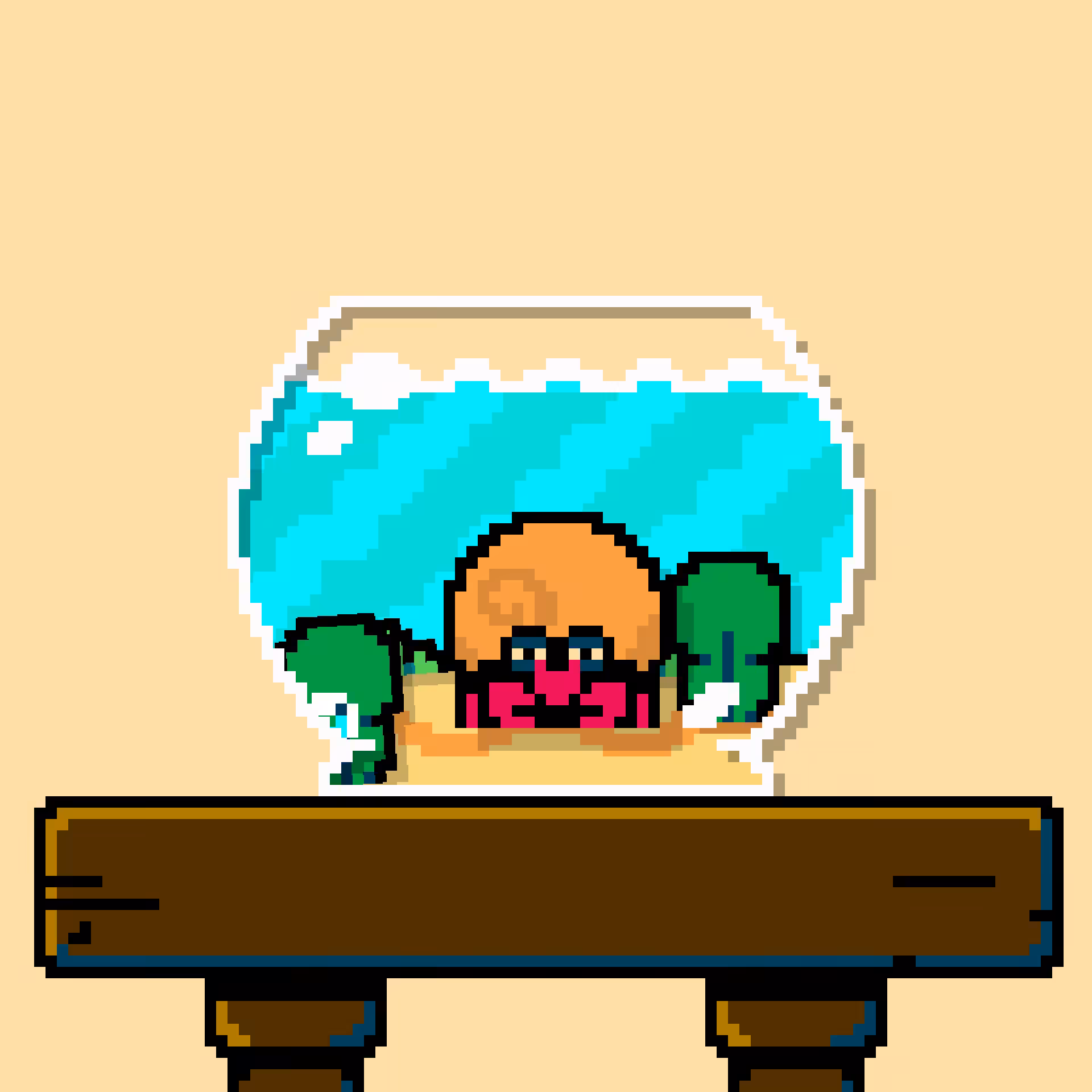 hermit crab #95