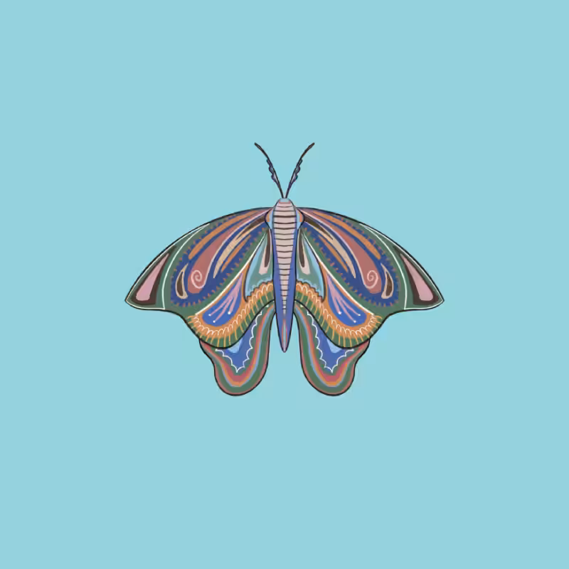 The Moth Experiment 2.0 P1 #14