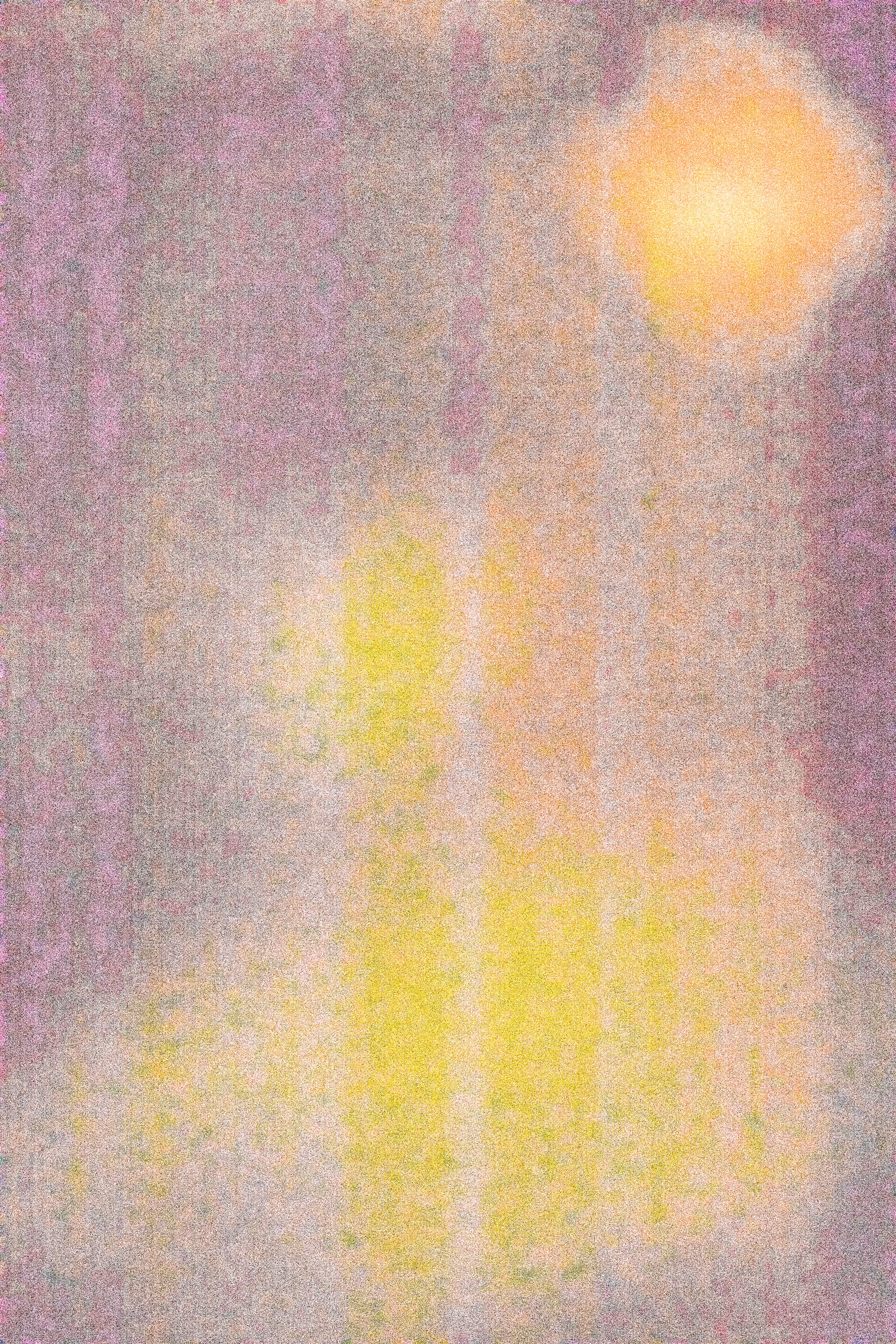 SALT 13
