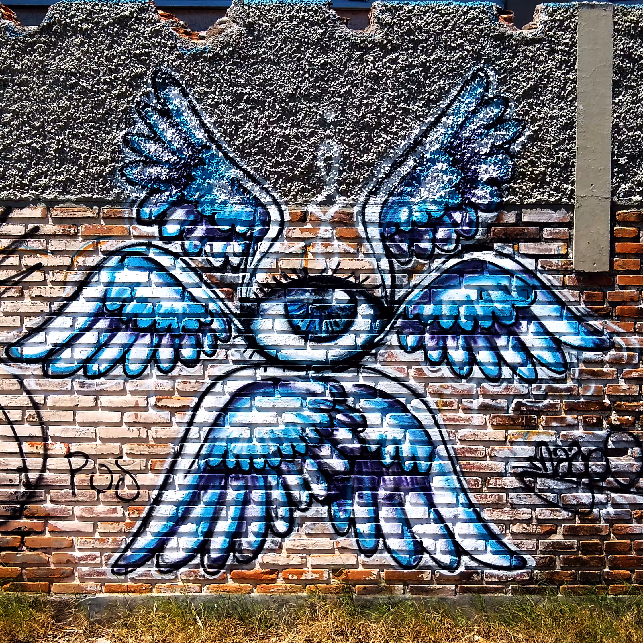 MetatroN