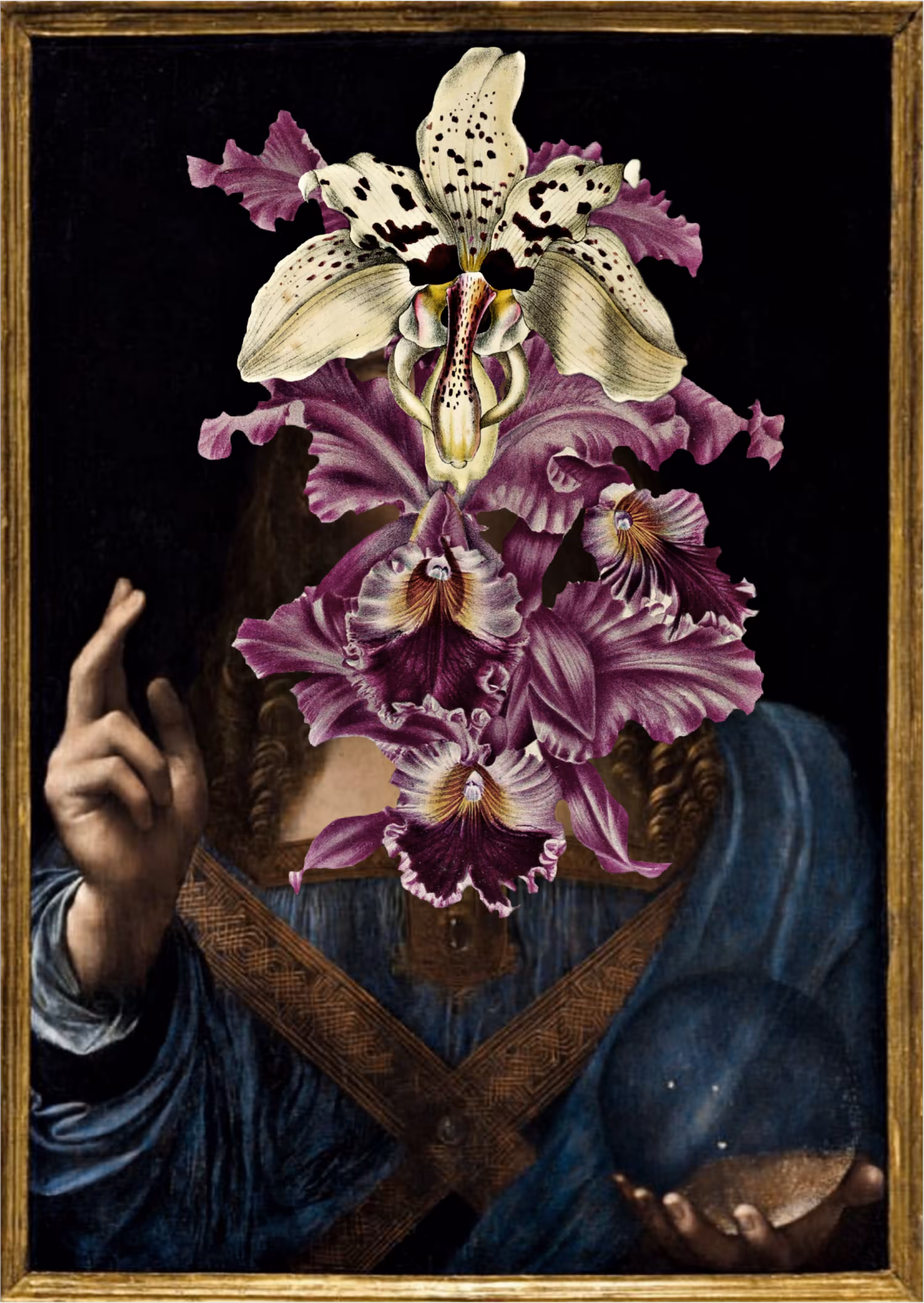 The Fairrie’s Paphiopedilum Of Mundi