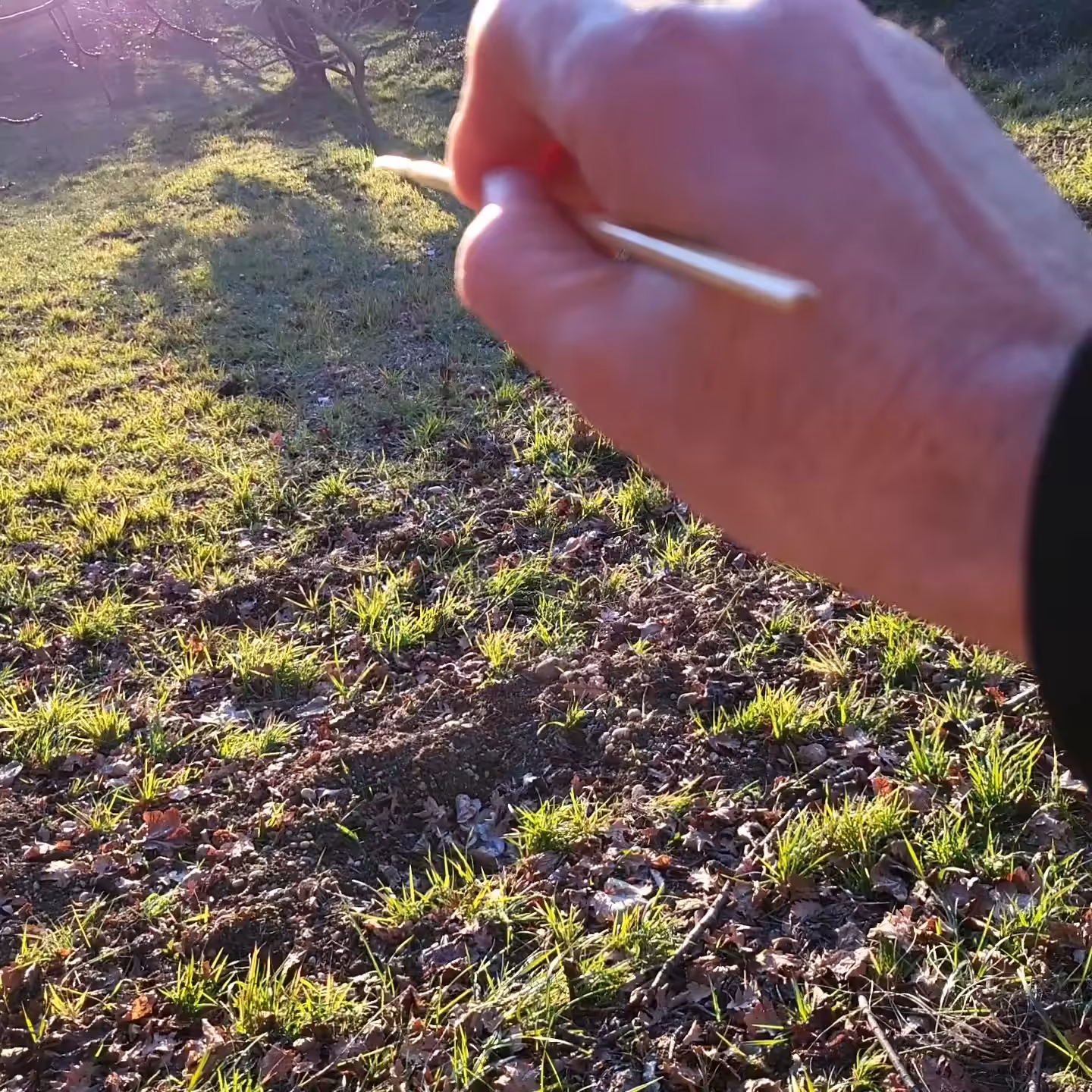 Miltos Manetas, 13 sec in Sabina (Jan 2022)