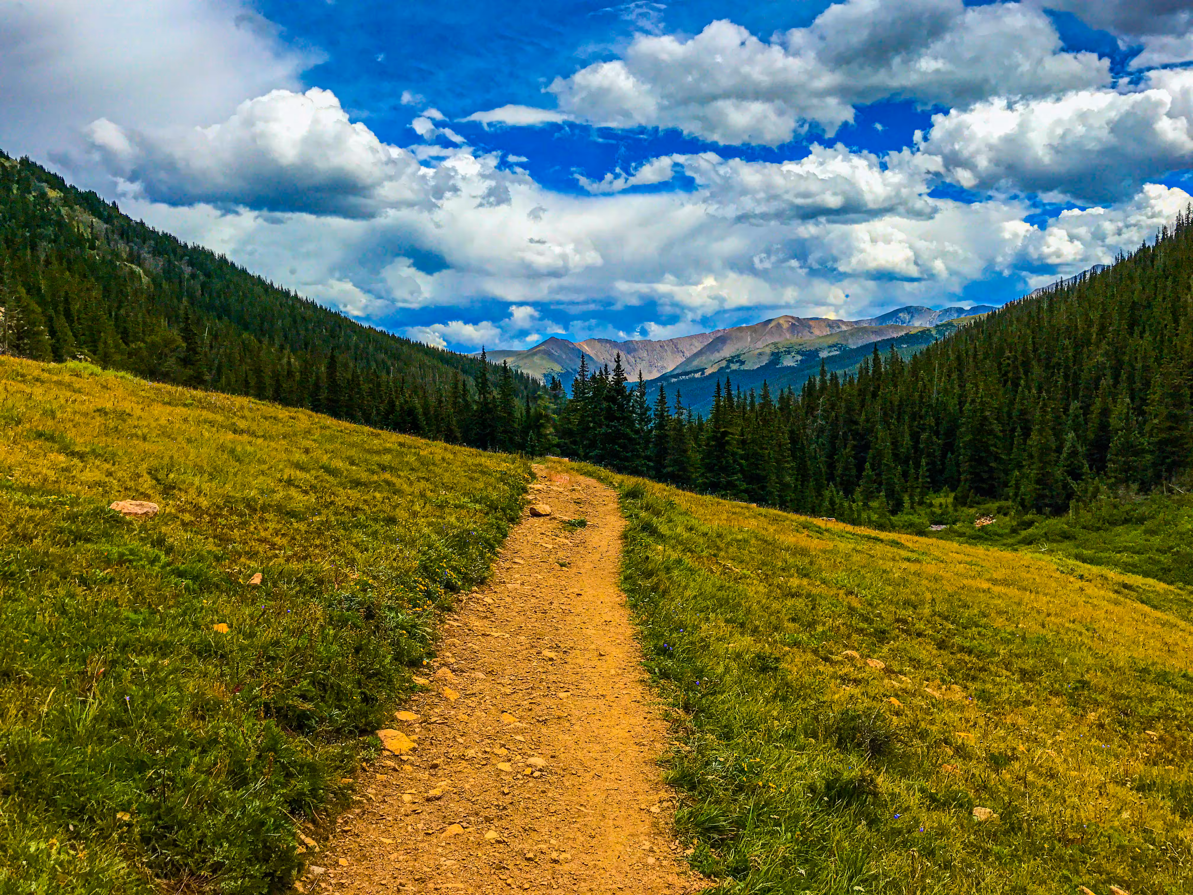Herman Gulch