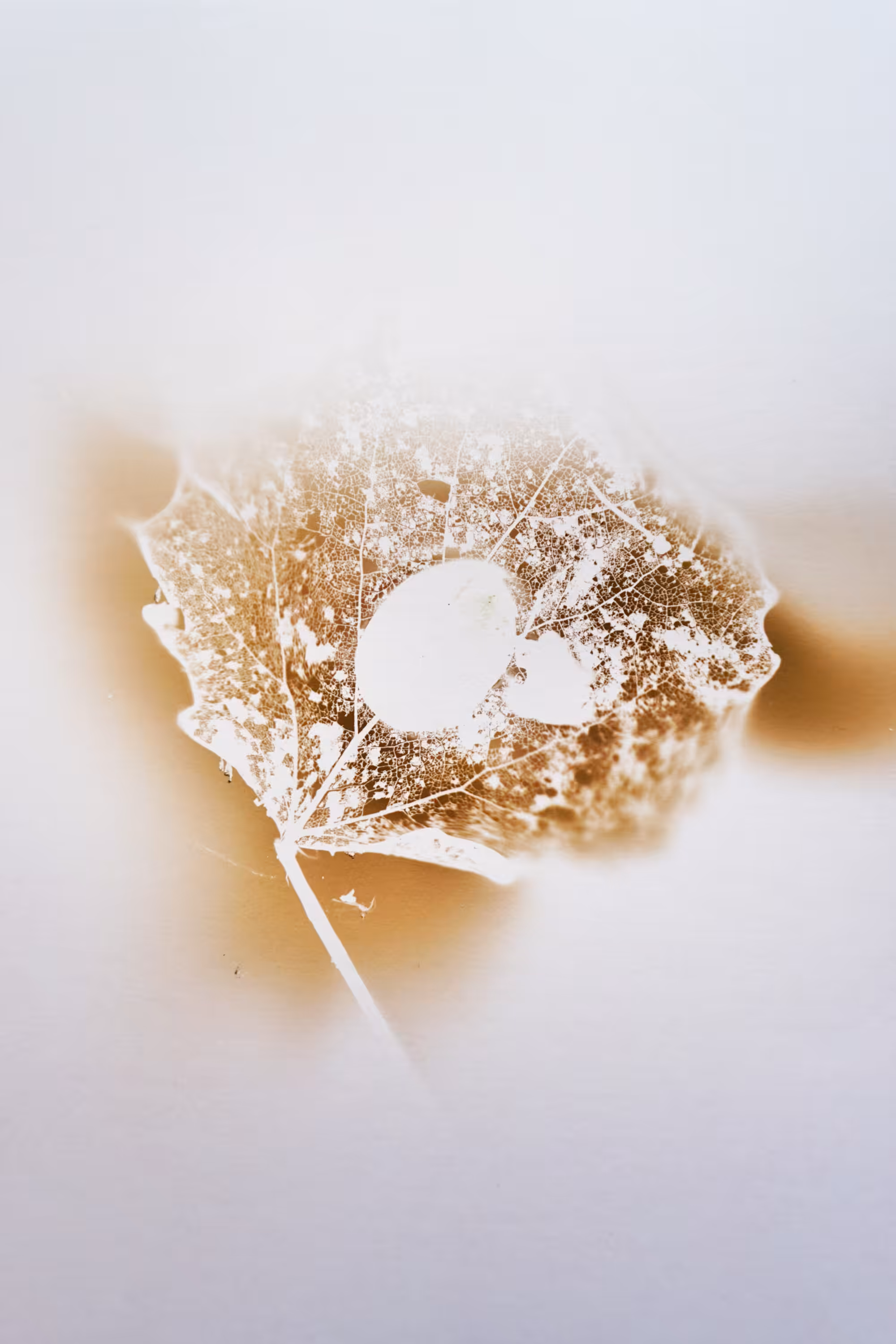 Fingerprint 06