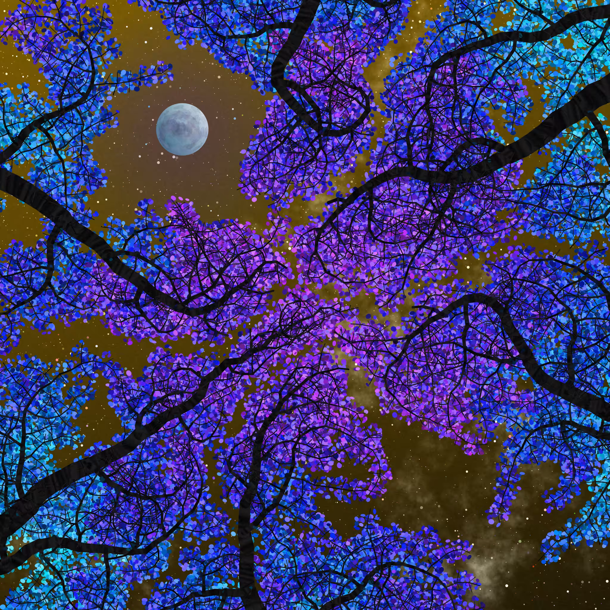 Tree Skyness #25