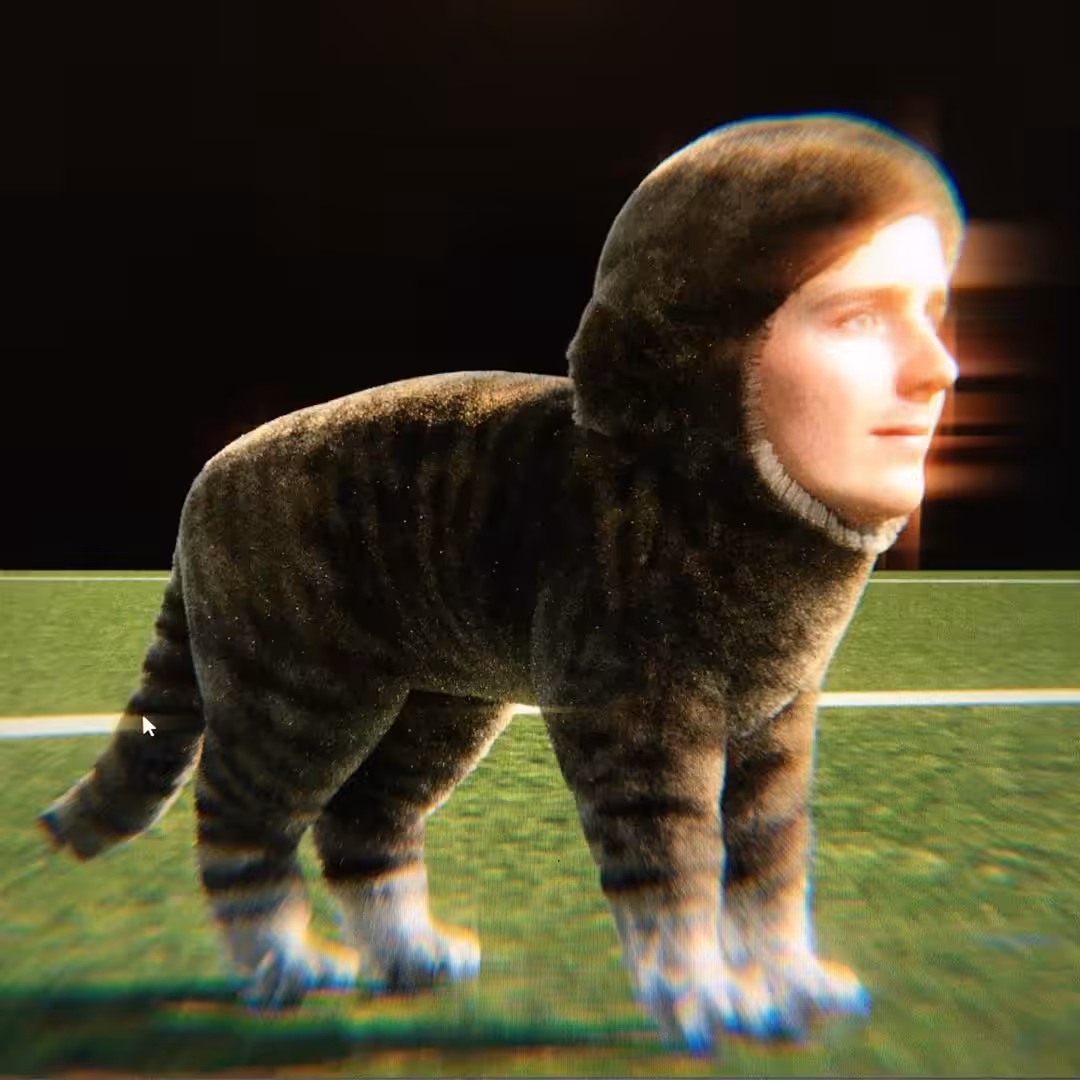 Catto
