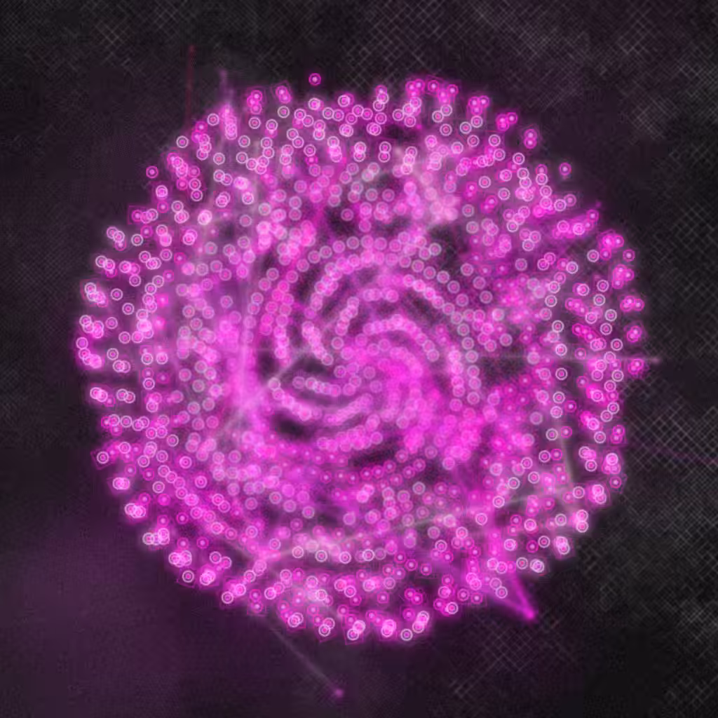 espiral #24
