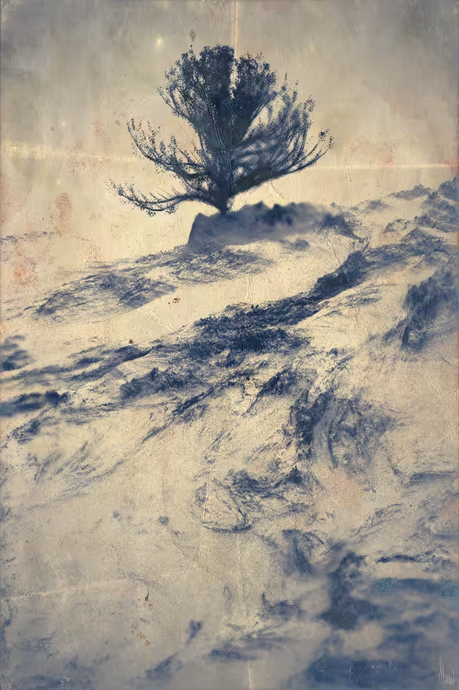 White Trees - 10