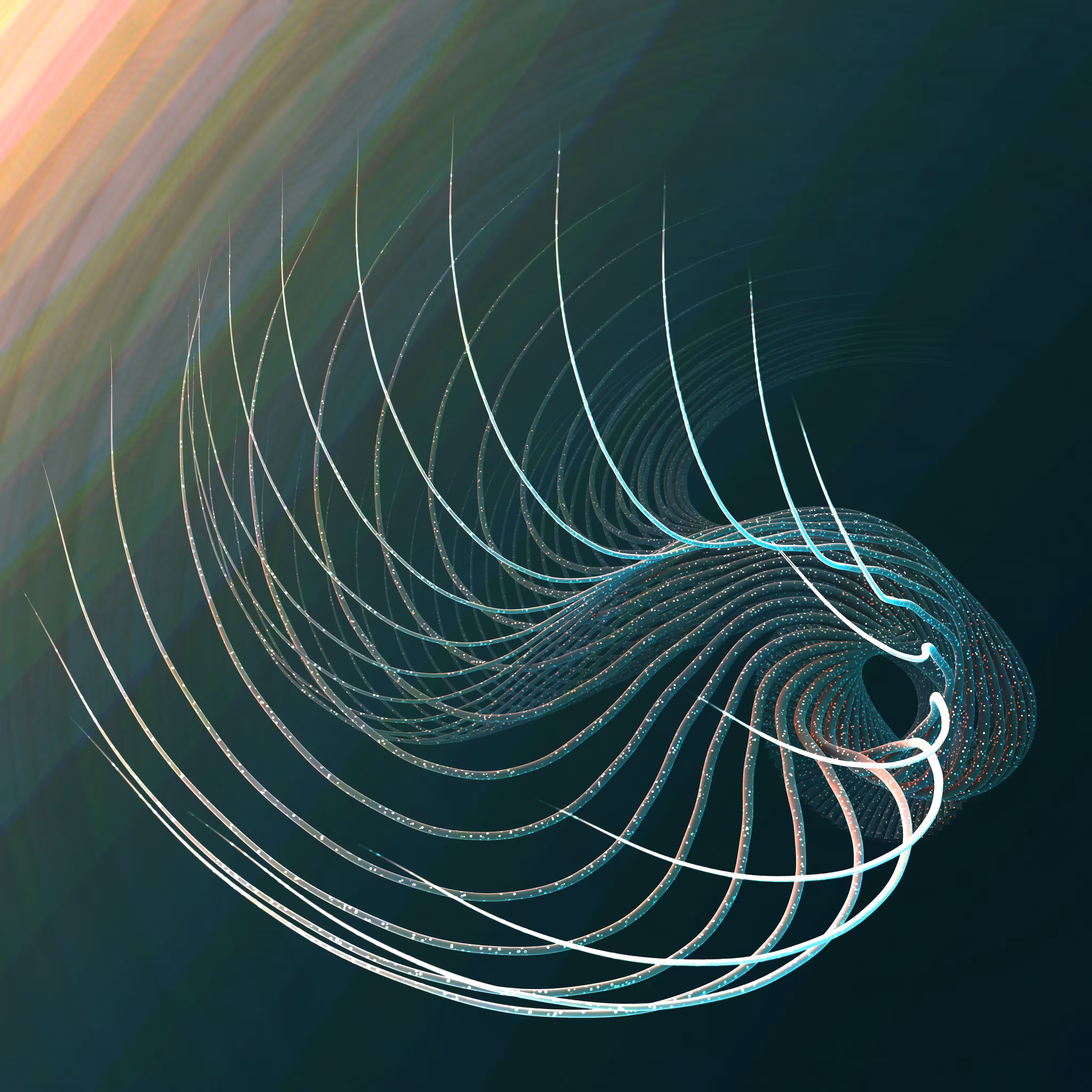 Ammonite-45