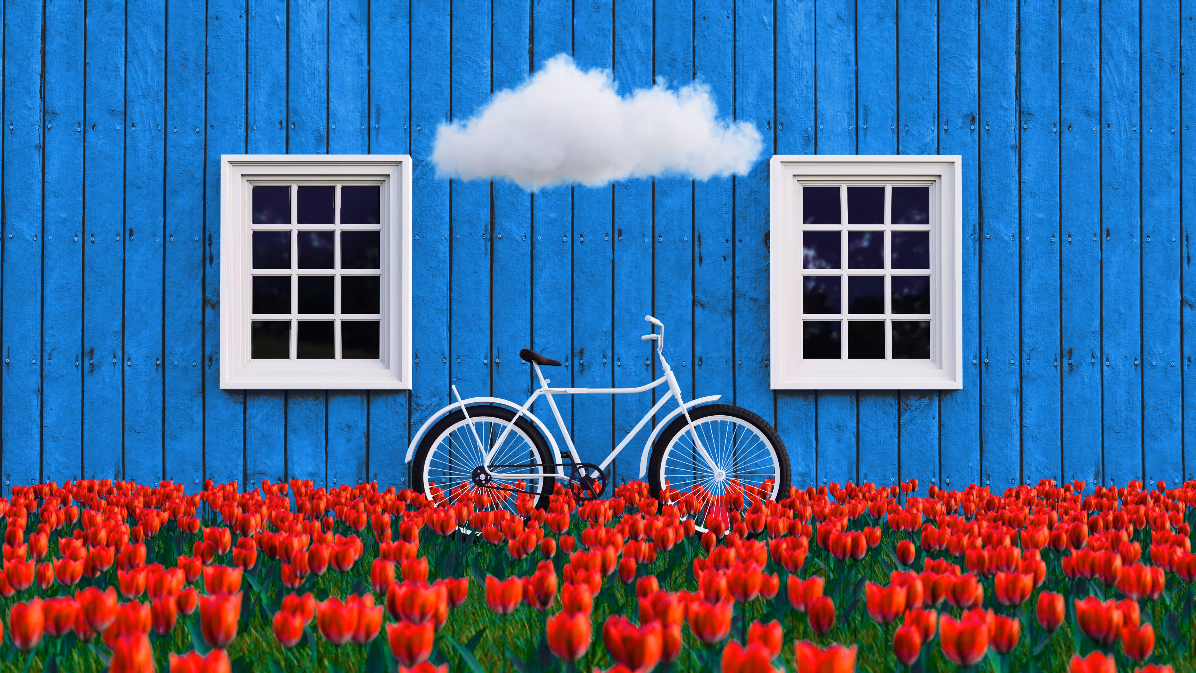 Tulip Dream