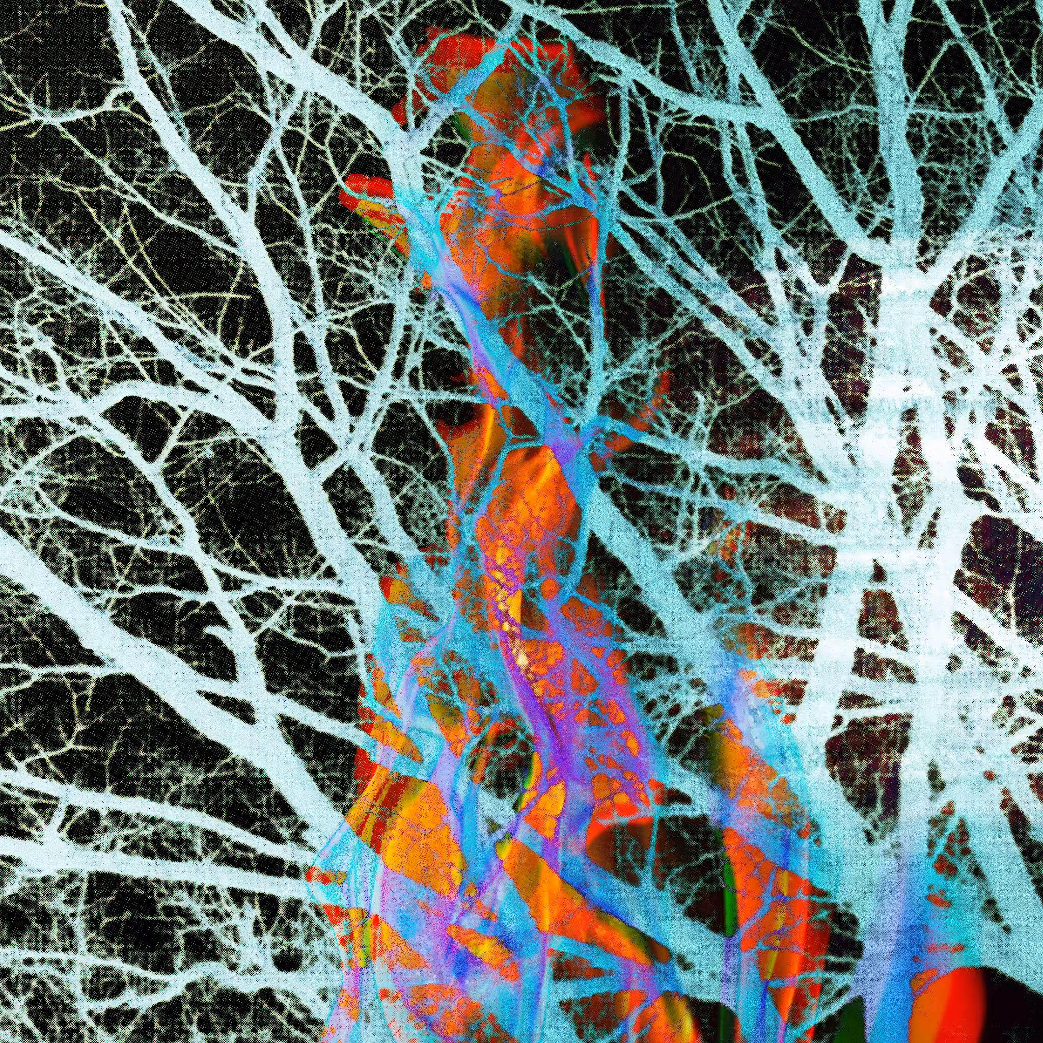 Hidden Dryad