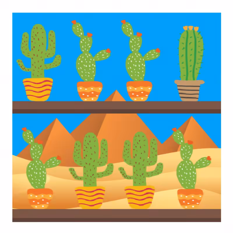 Cactus Shelf #2