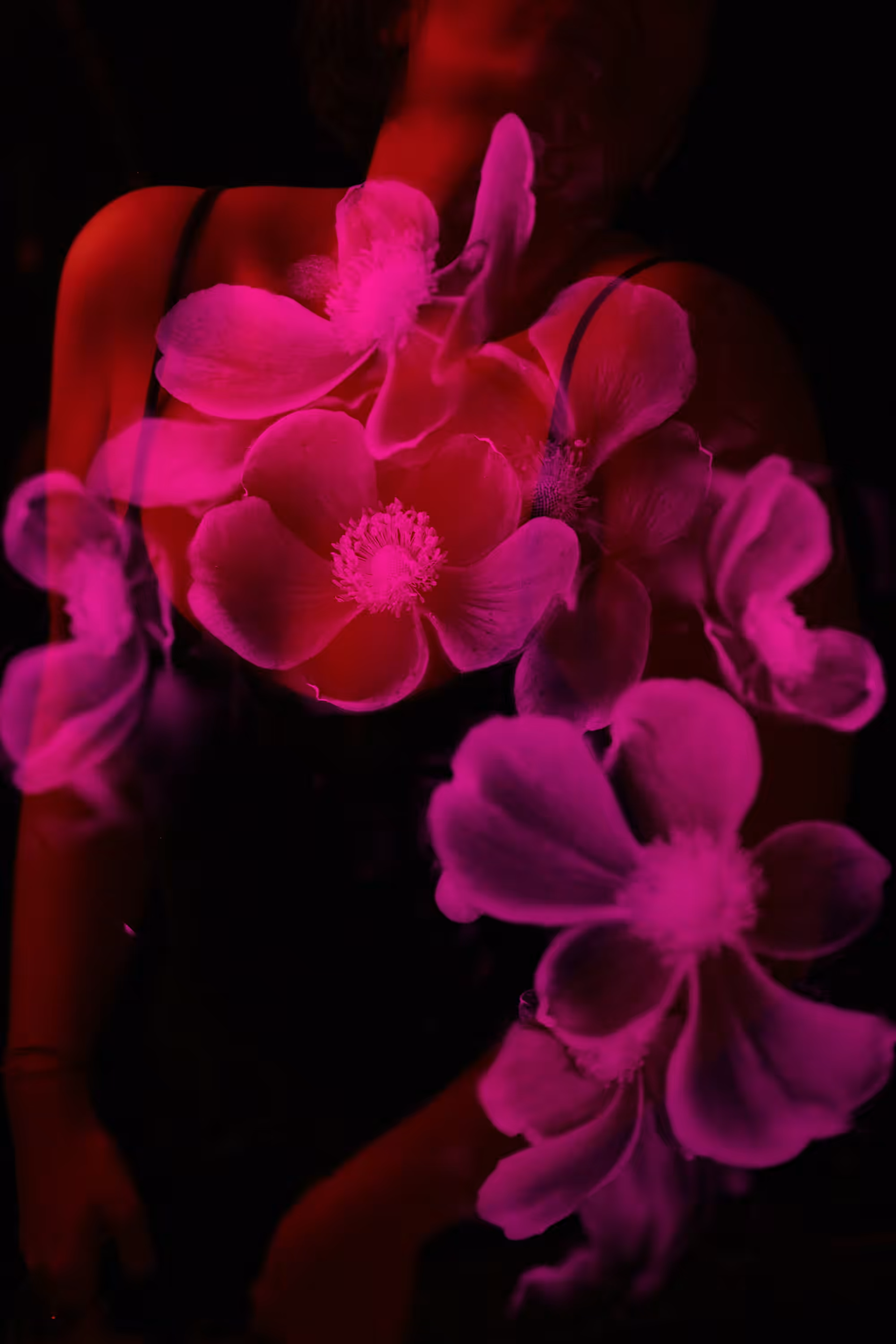My body and other flowers