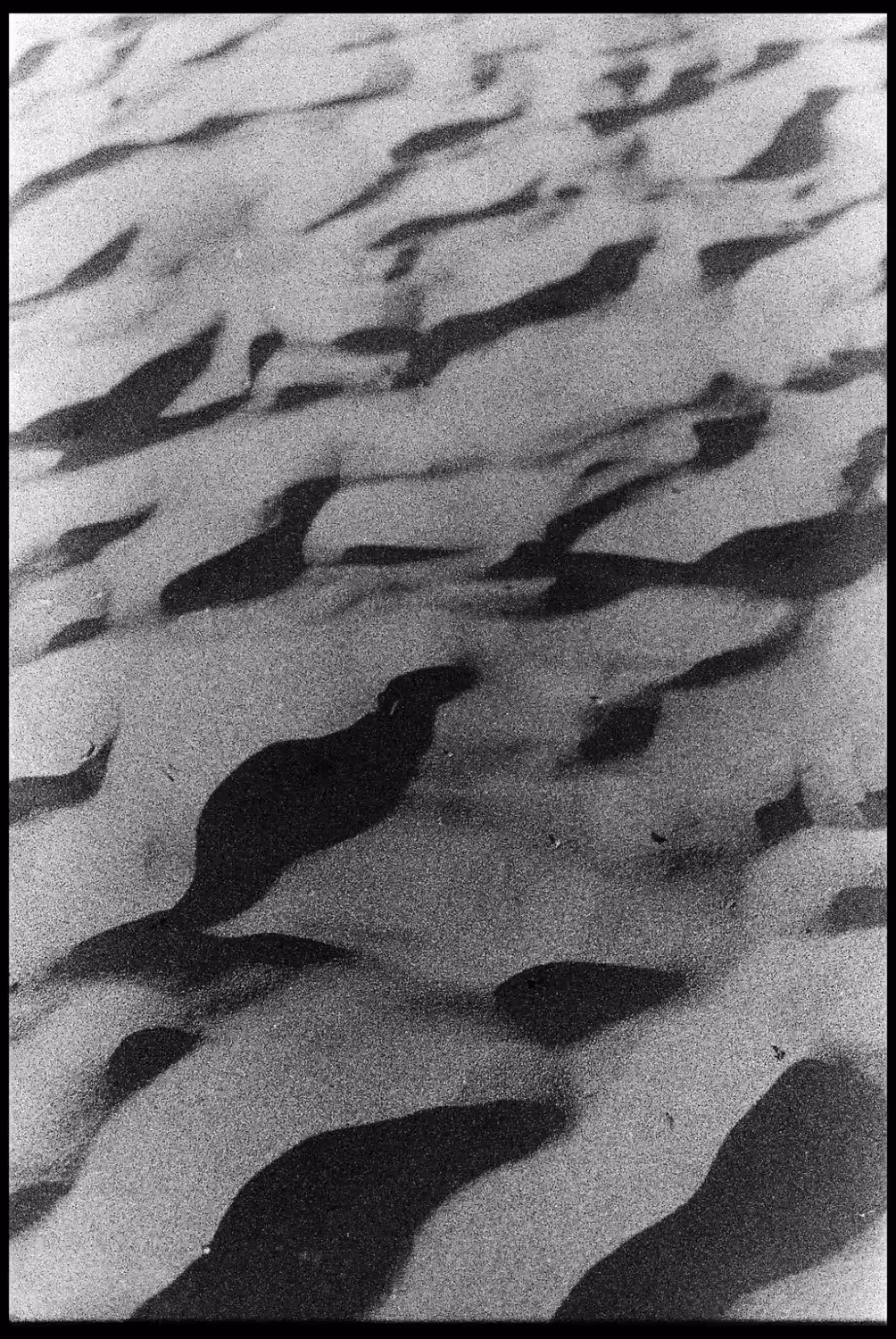 Transitory_1