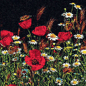 Peace Blooms Here
