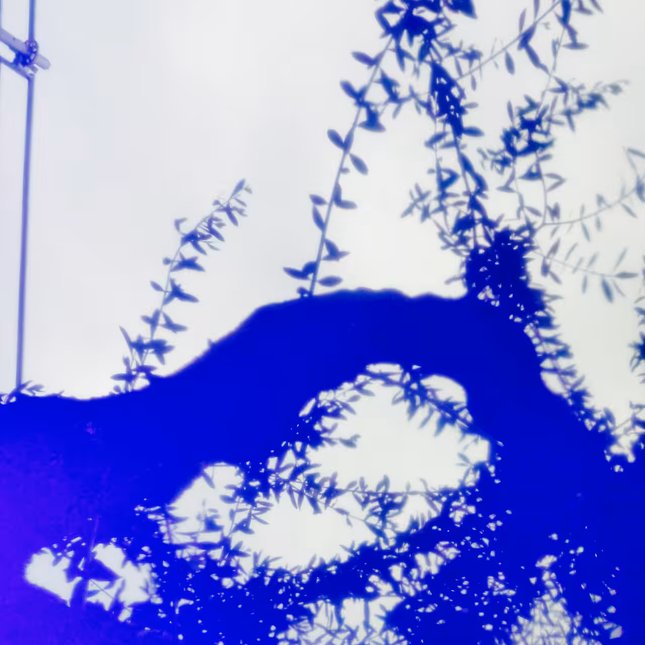 About blue