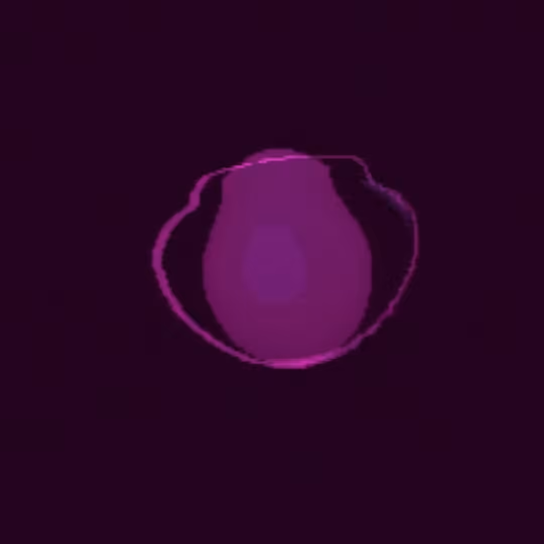 PLIP II