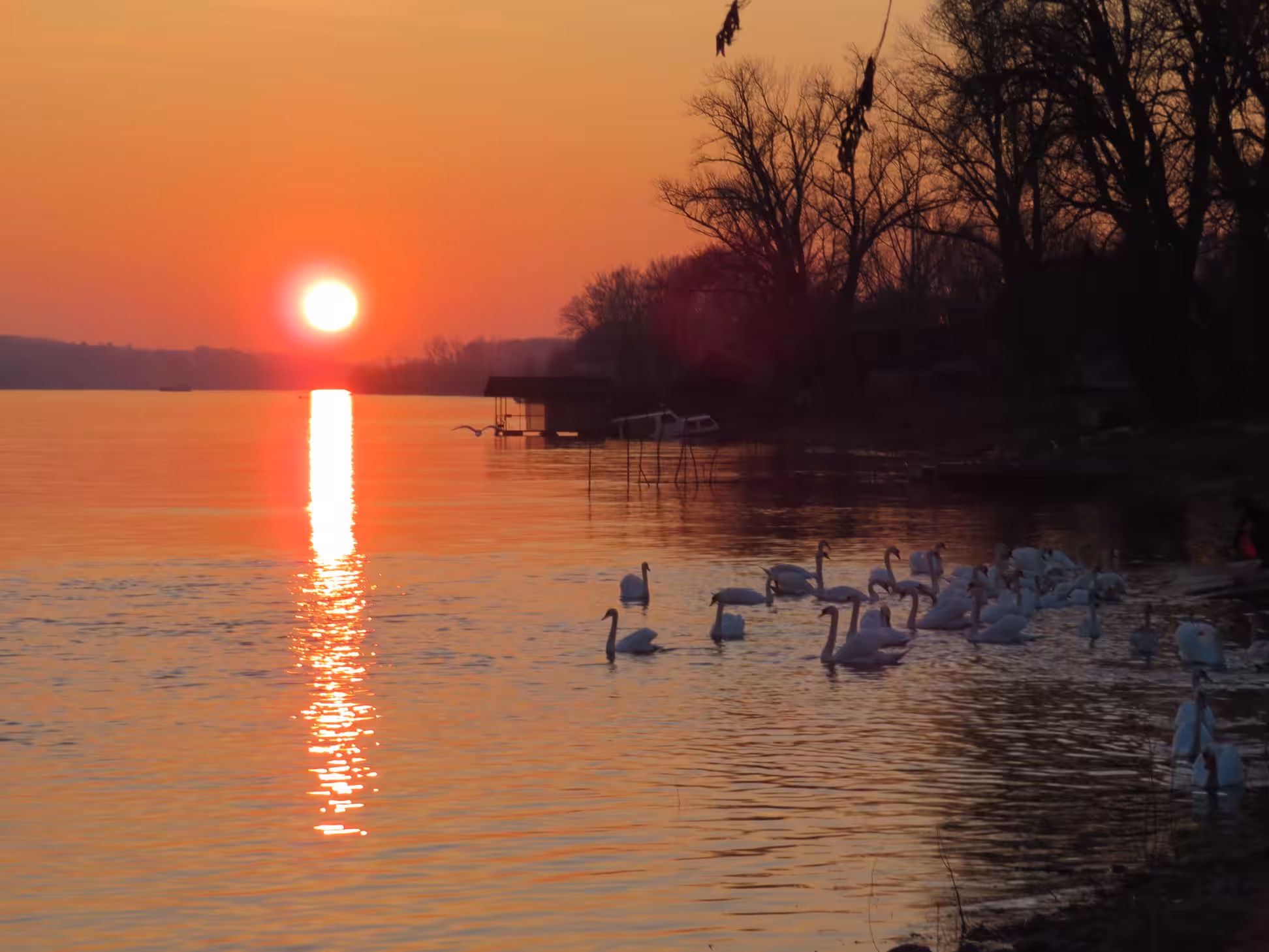 Setting sun on the Danube River