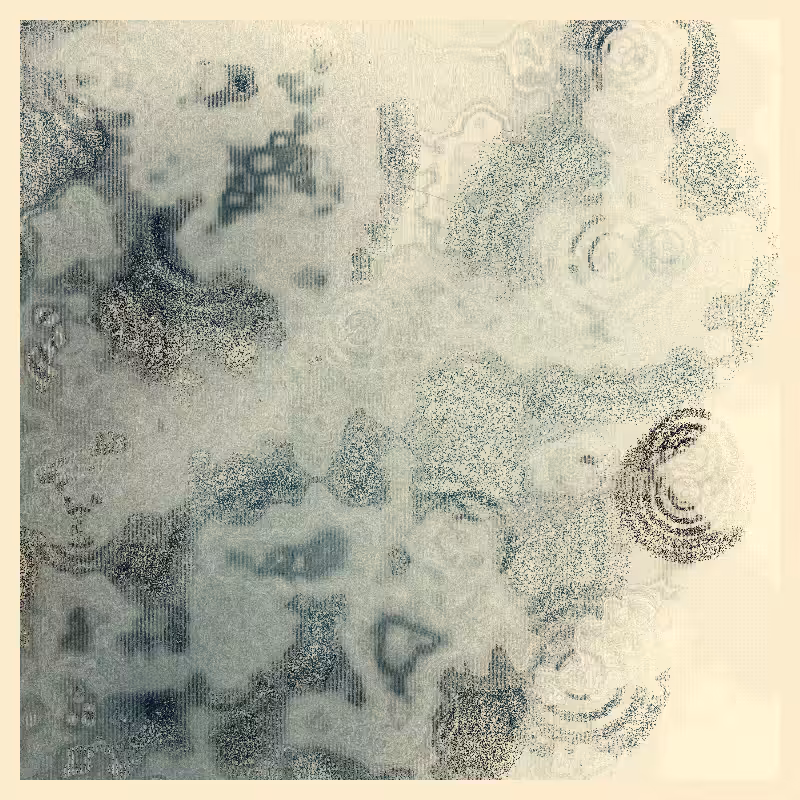 a pale reflection #17