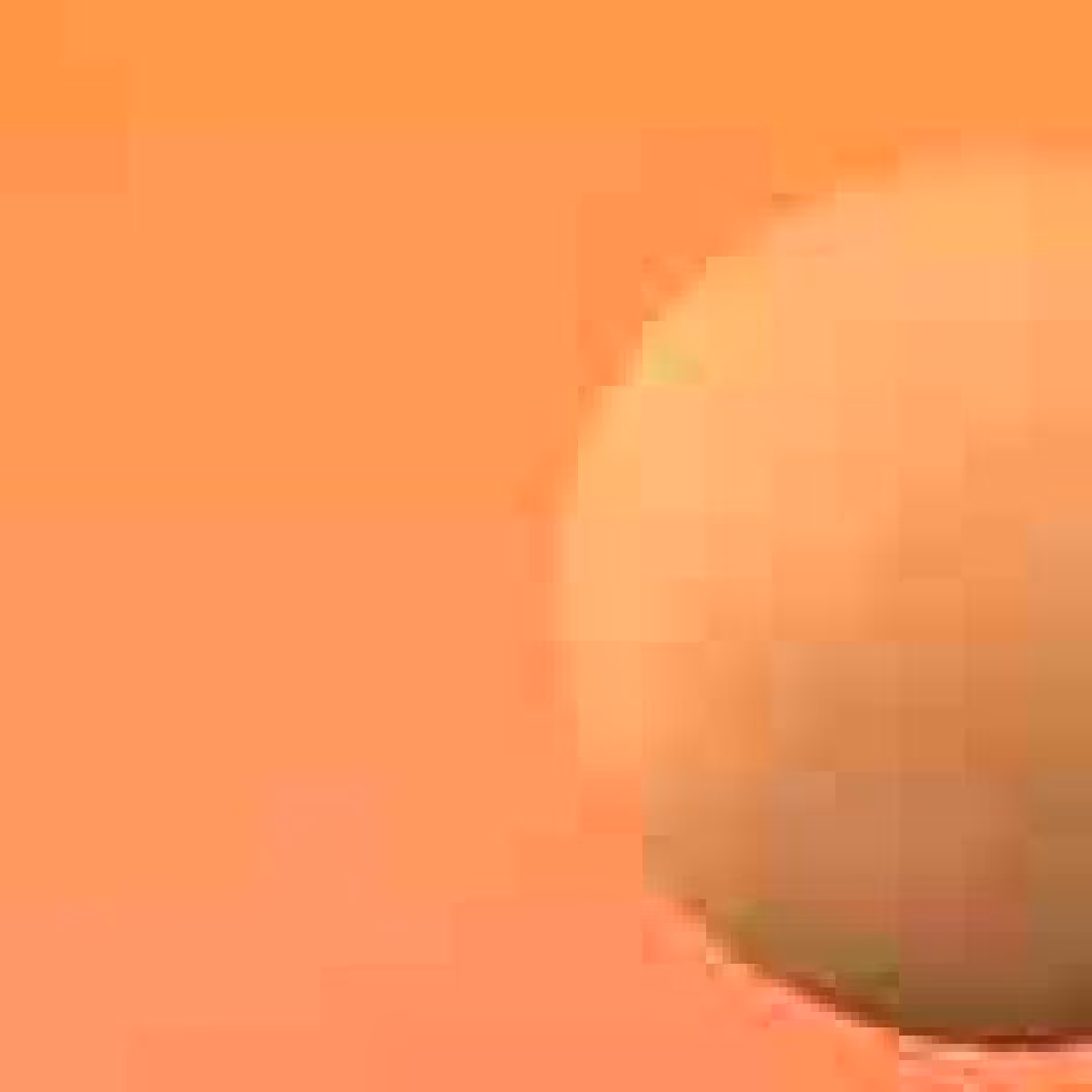 Orbits: Orbit 495426092