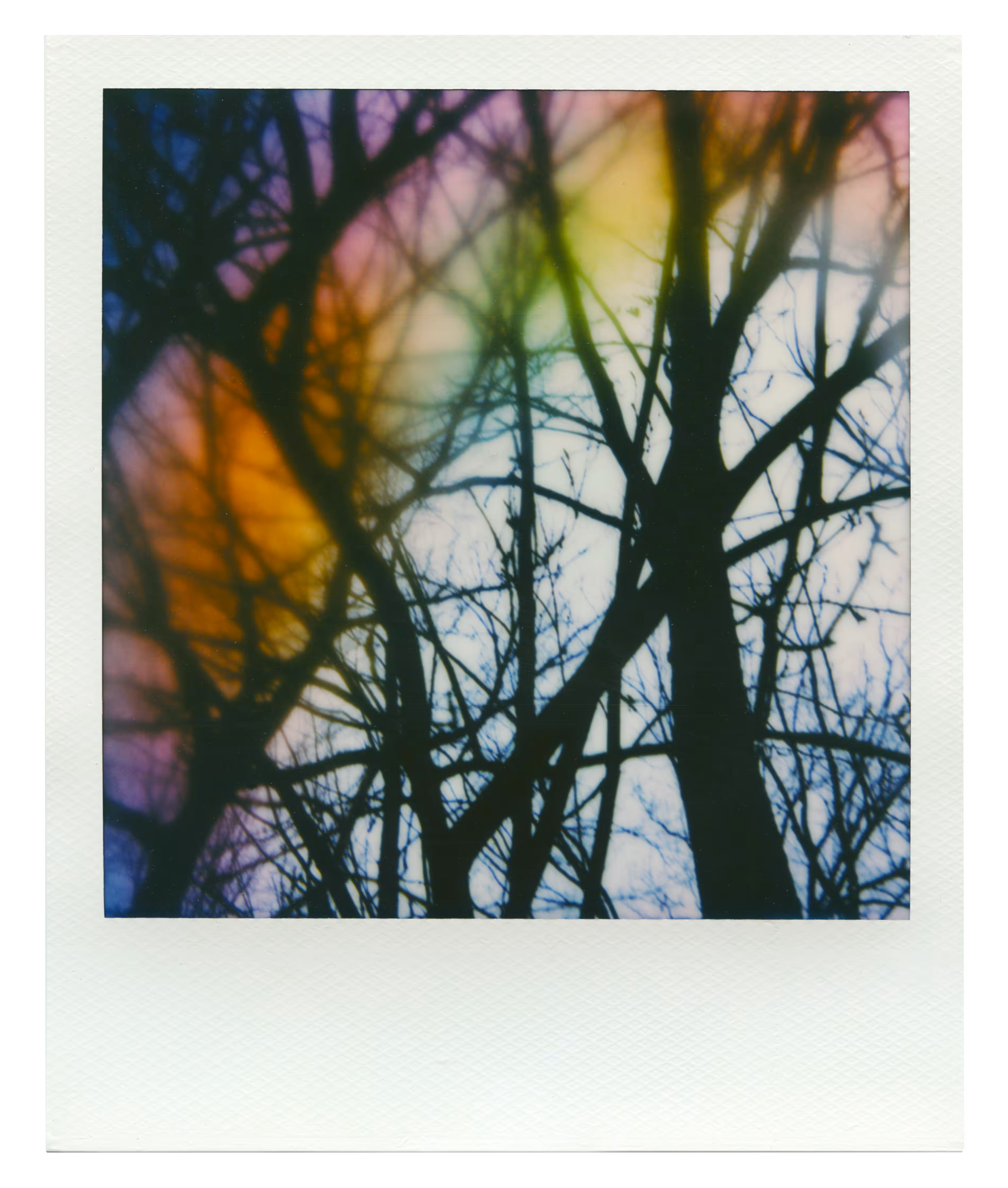 Manifestation