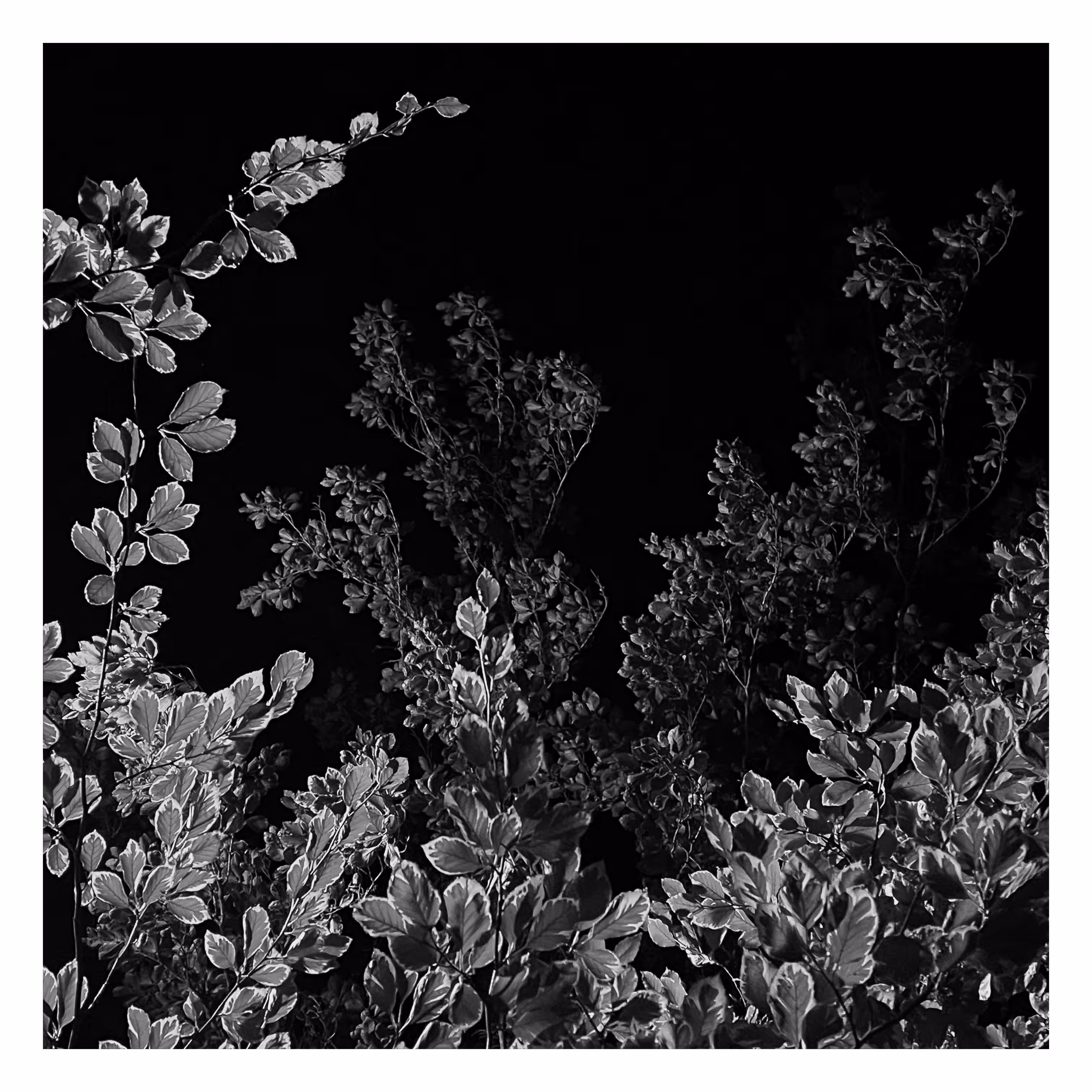 Stroll: July 25, 2023 • 10:56pm