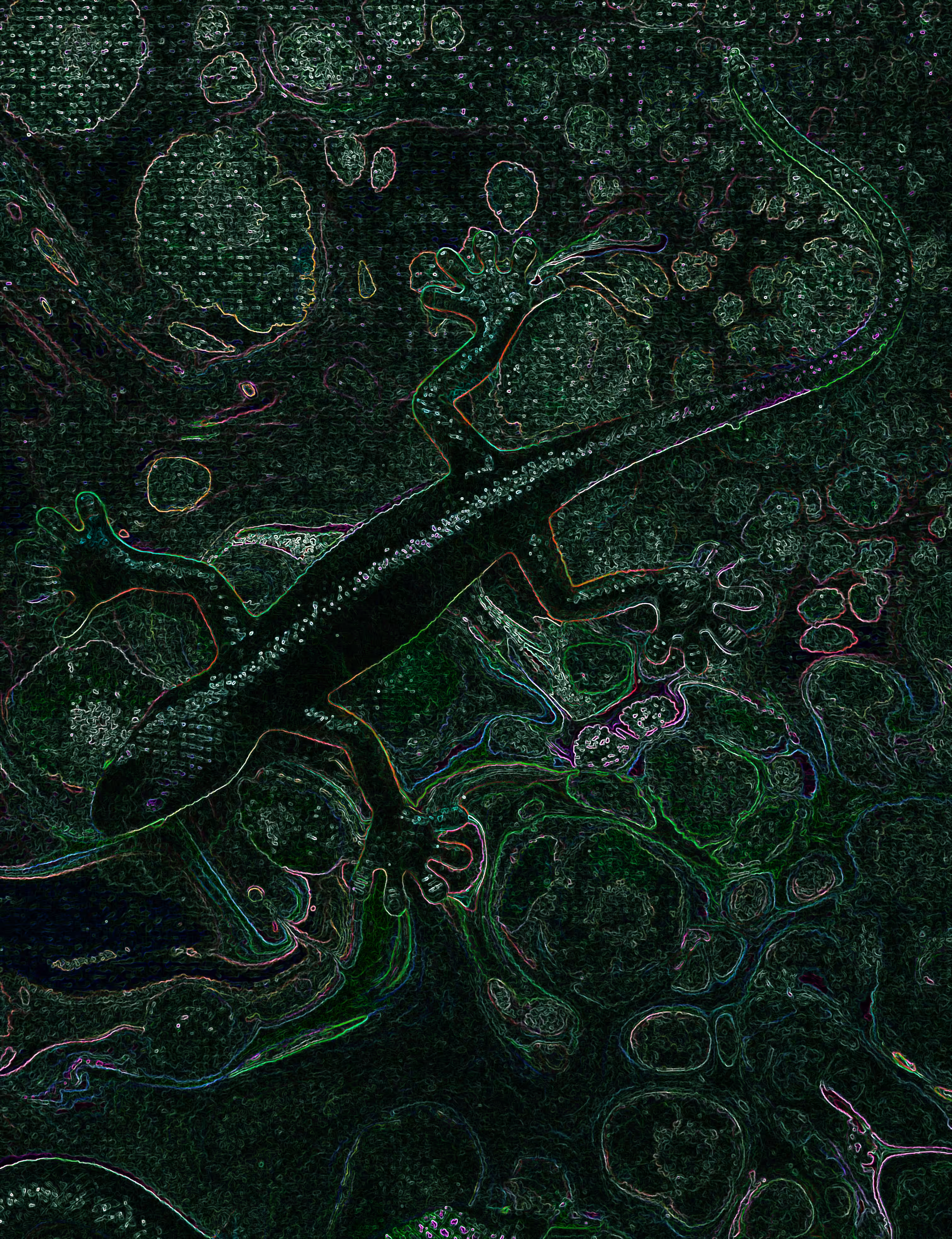 Neon Chameleon 2   @ArtByLeClaireD1