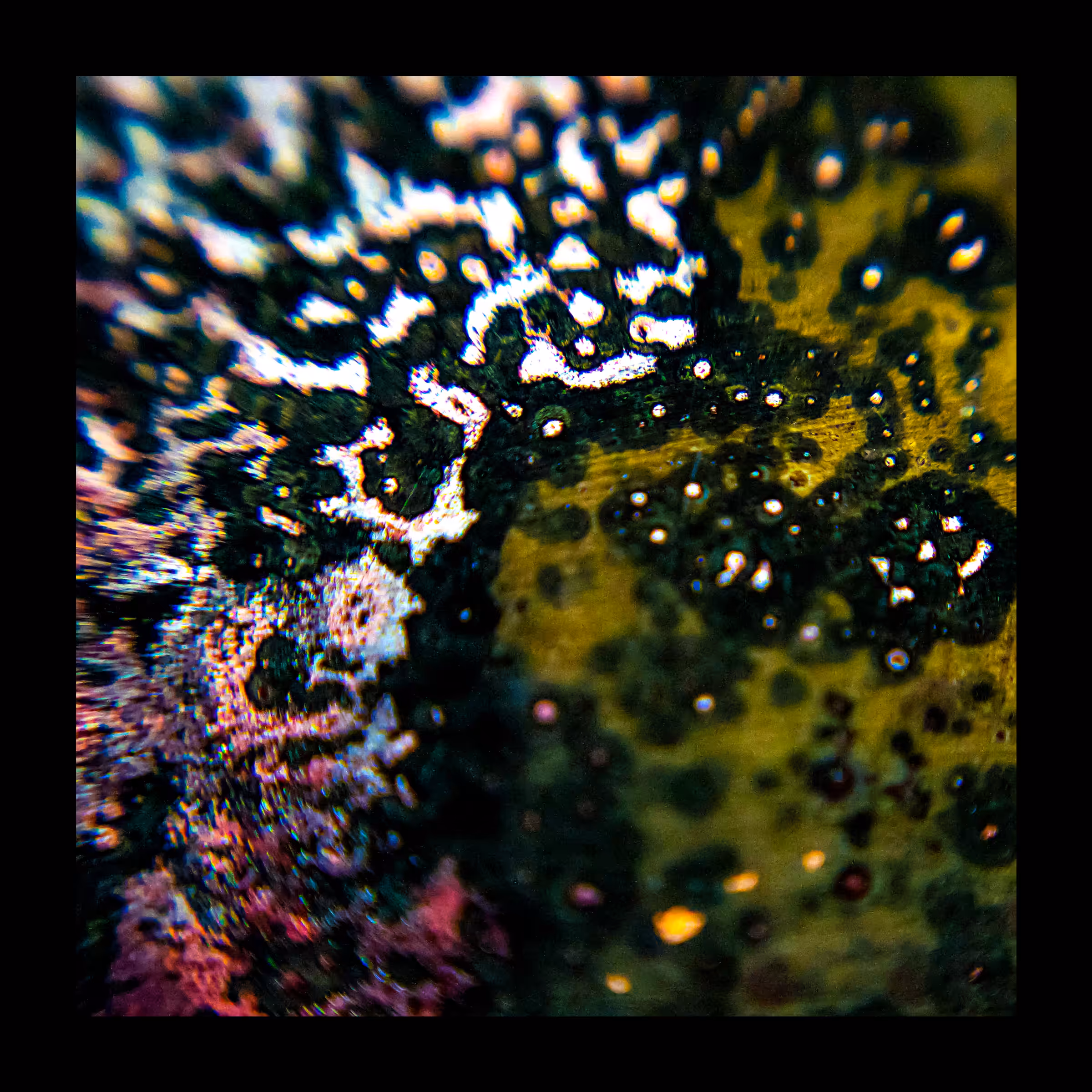 Flux #6