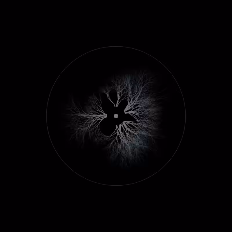 EYE #53