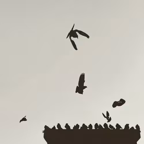 Migrating Has No End