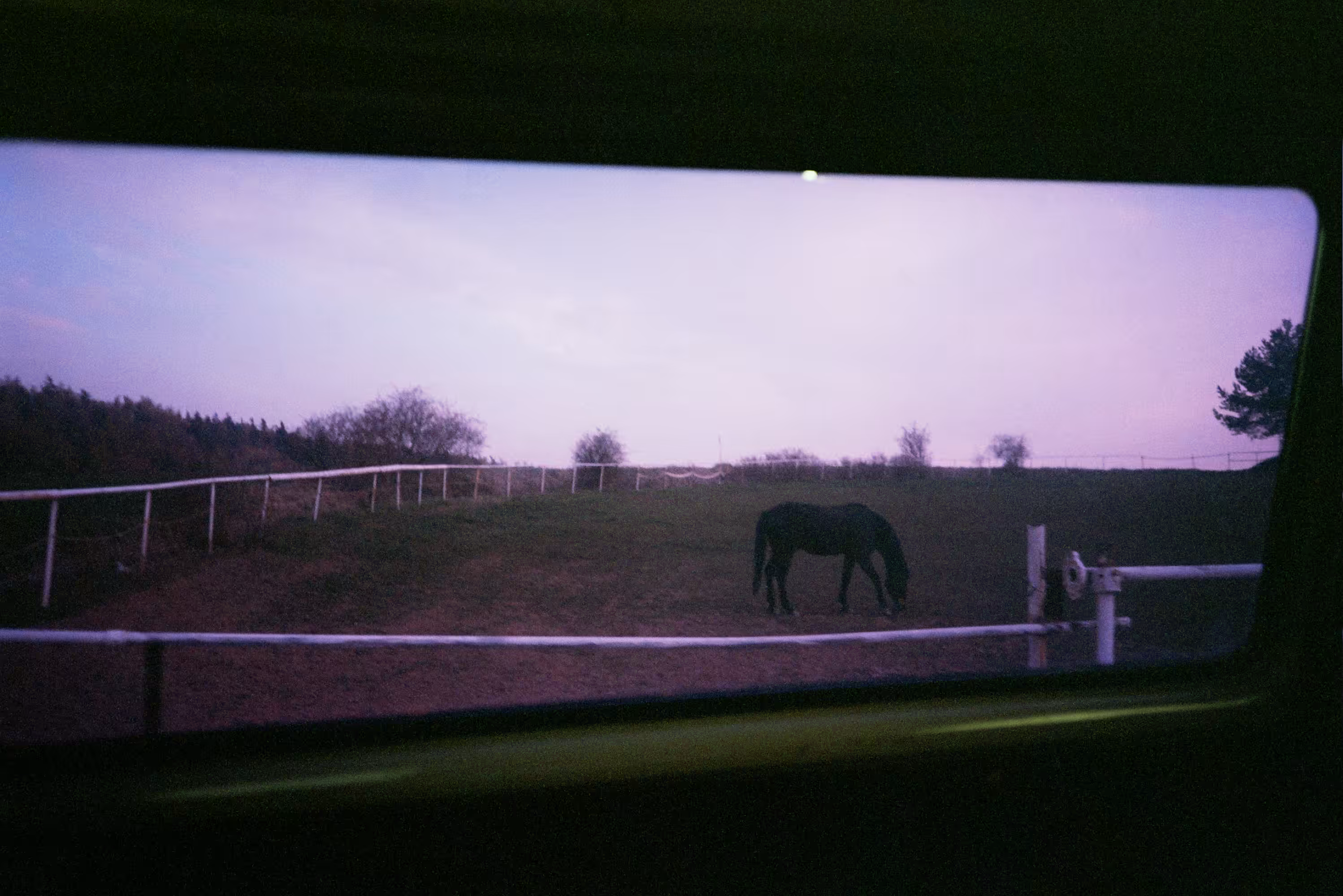 Bet_Orten_Self mythology_HORSE & I