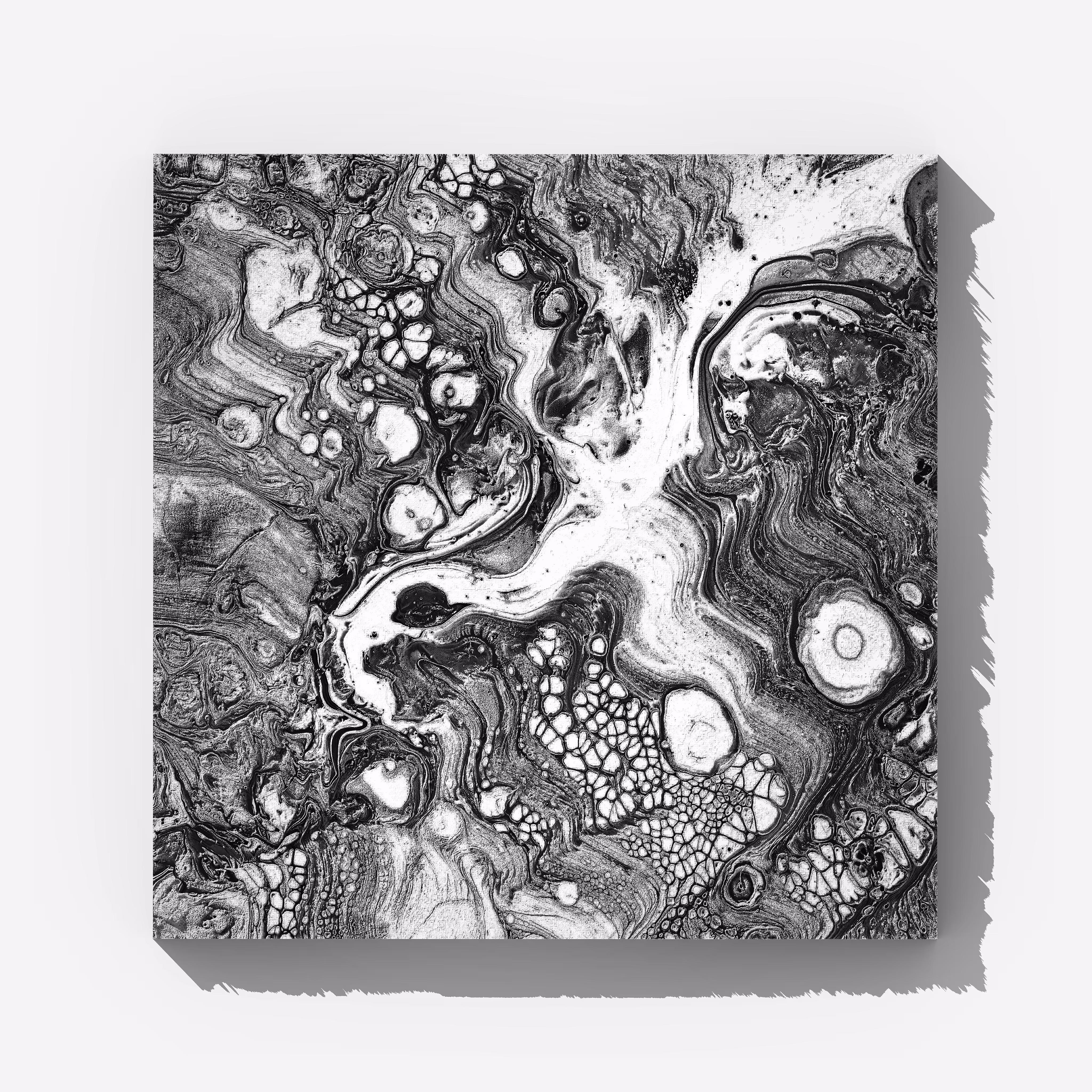 Terra Rivorum