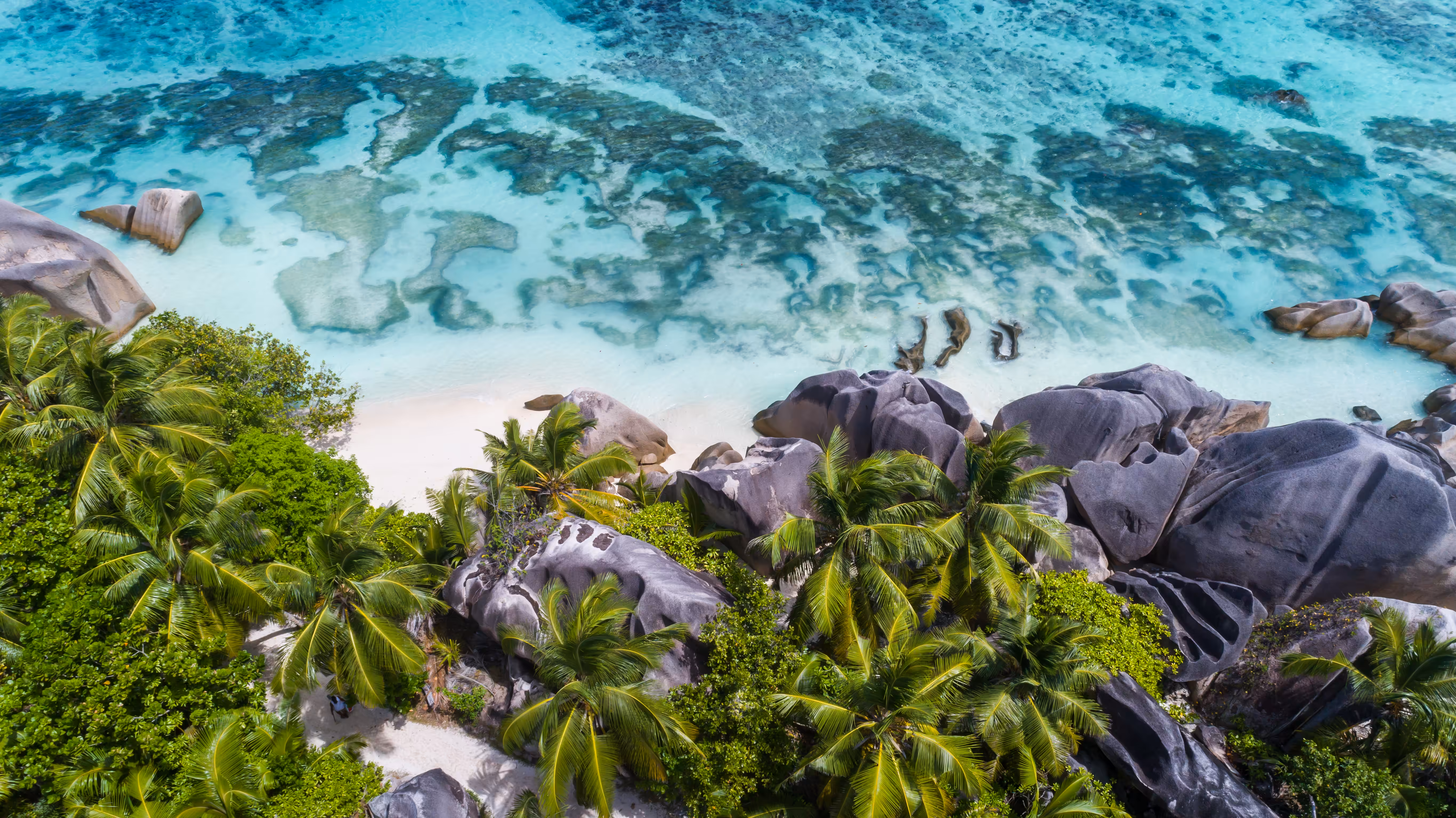 Hidden Paradise