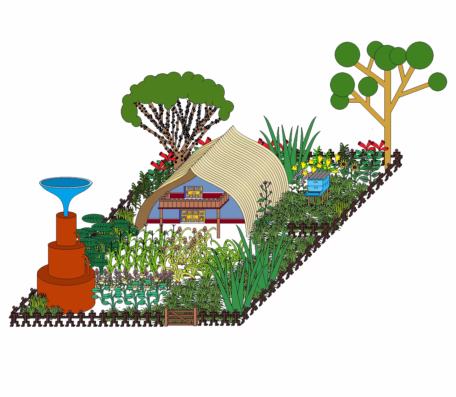 Jaboticaba farm