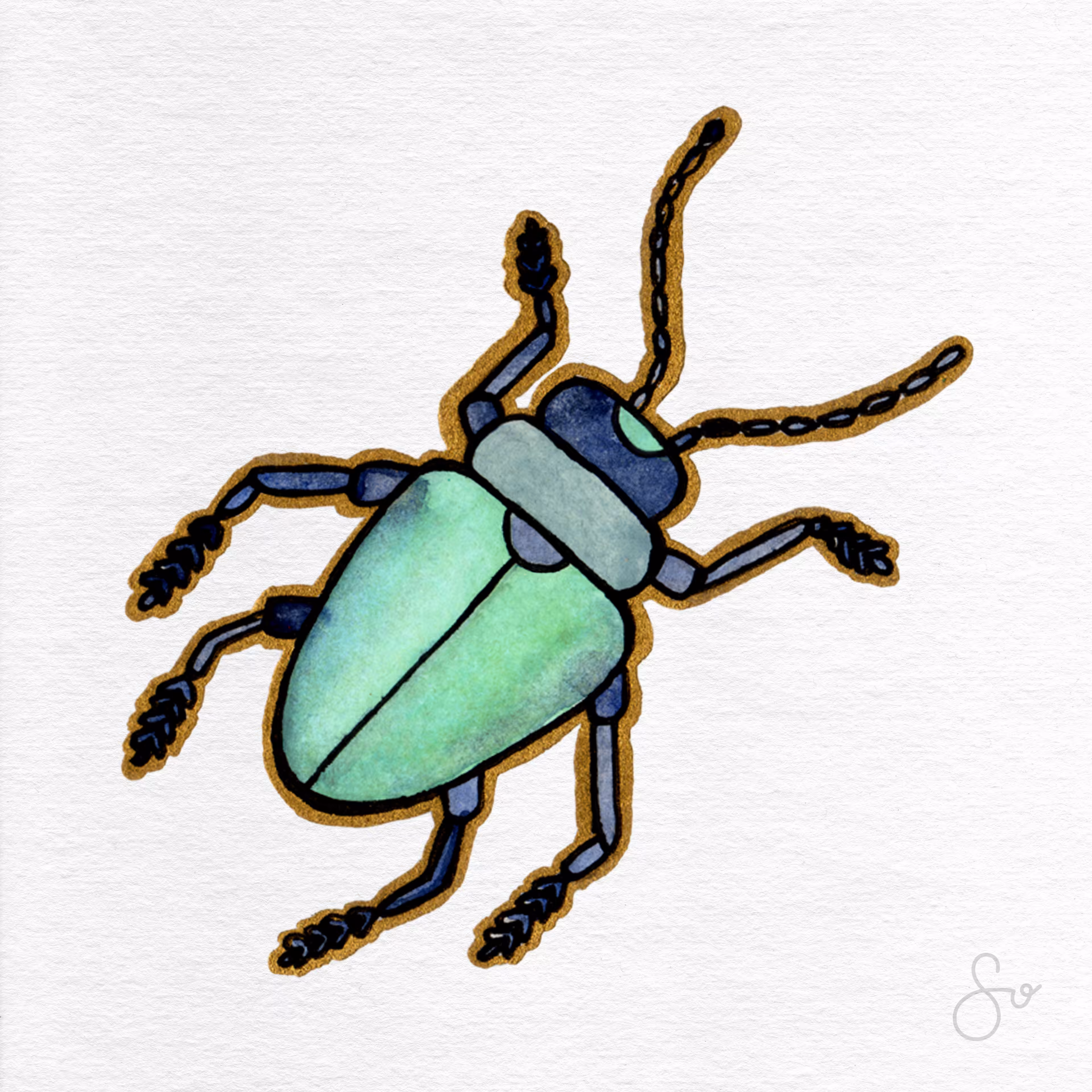 Beetle