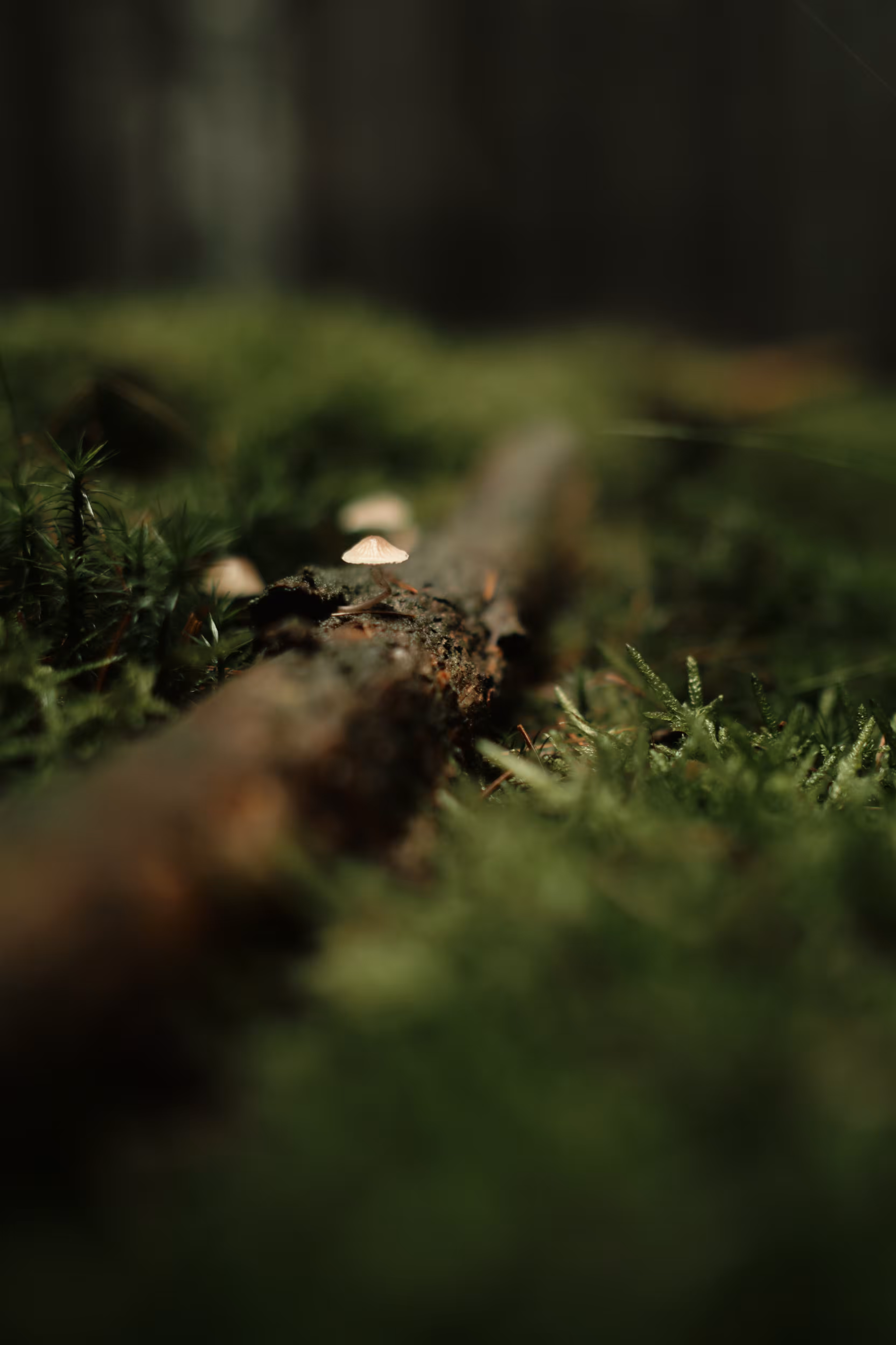 The little details