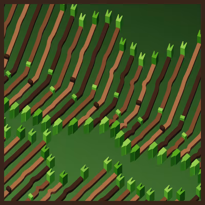 Neural Collapse #7