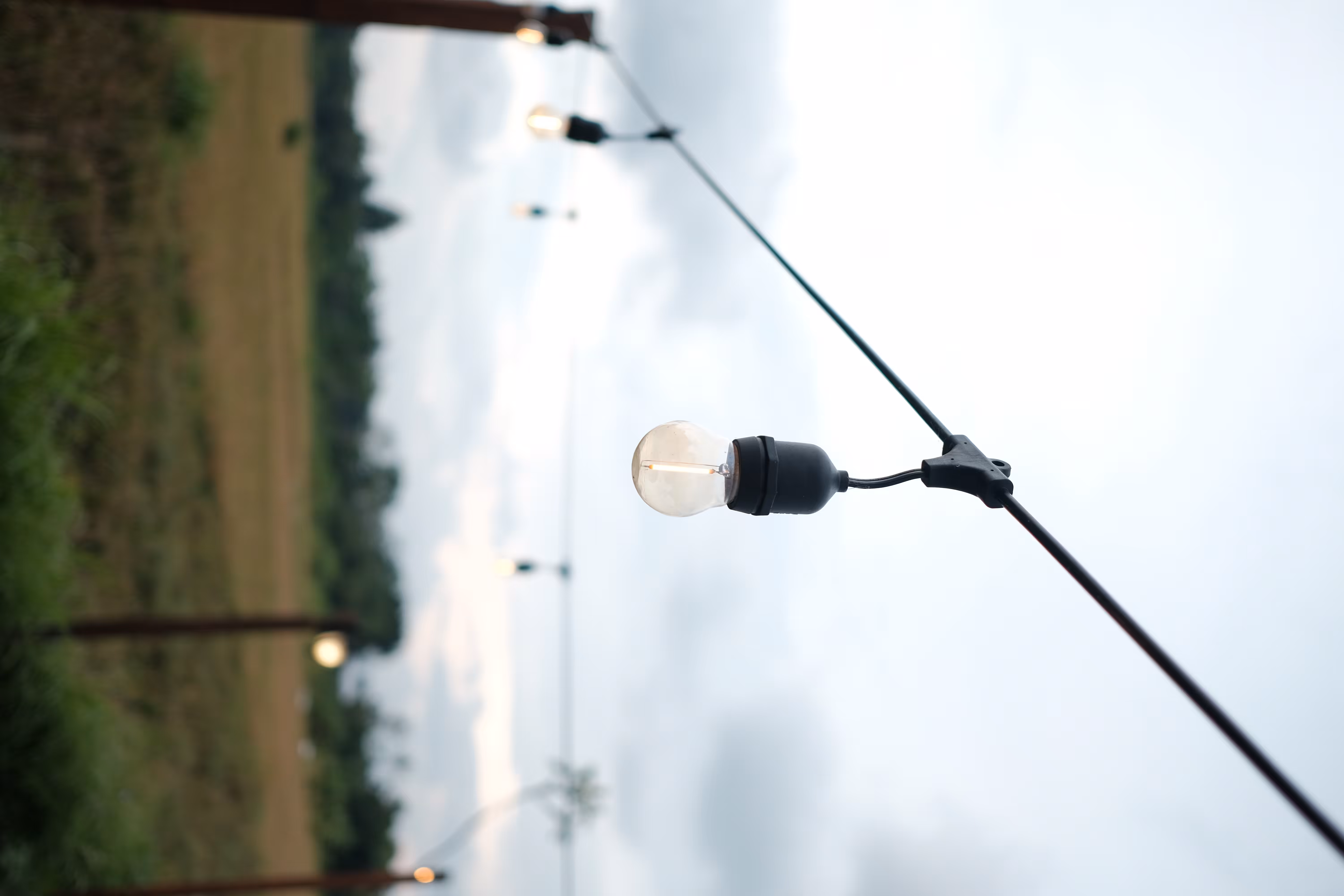 The Bulb - 2019